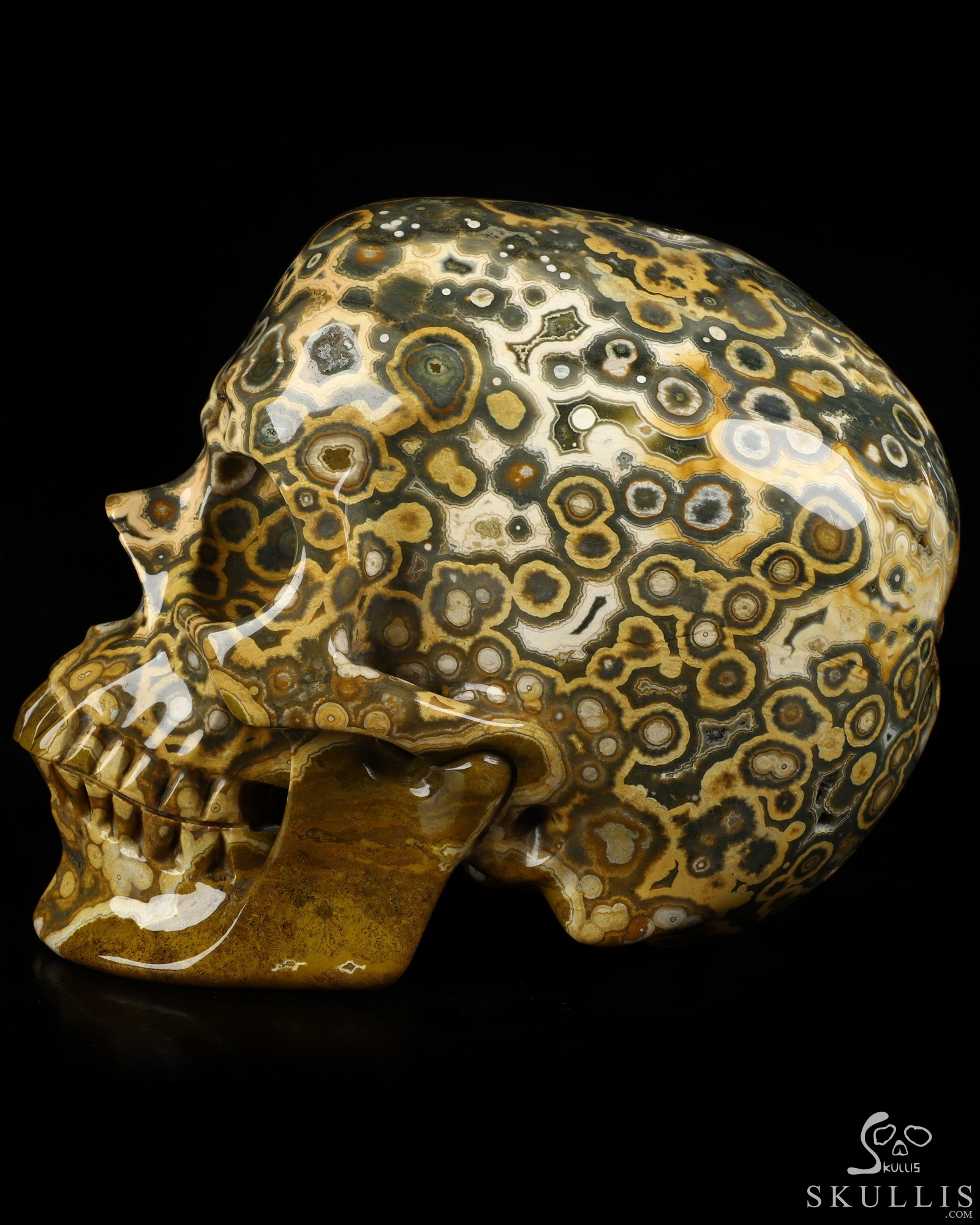 Aug 16, 2026 ACSAD (A Crystal Skull a Day) - Aeon's Ripple - Lifesized 7.5" Ocean Jasper Hand Carved Crystal Skull, Super Realistic, Crystal Healing Aug 16, 2026 ACSAD (A Crystal Skull a Day) - Aeon's Ripple - Lifesized 7.5" Ocean Jasper Hand Carved Crystal Skull, Super Realistic, Crystal Healing