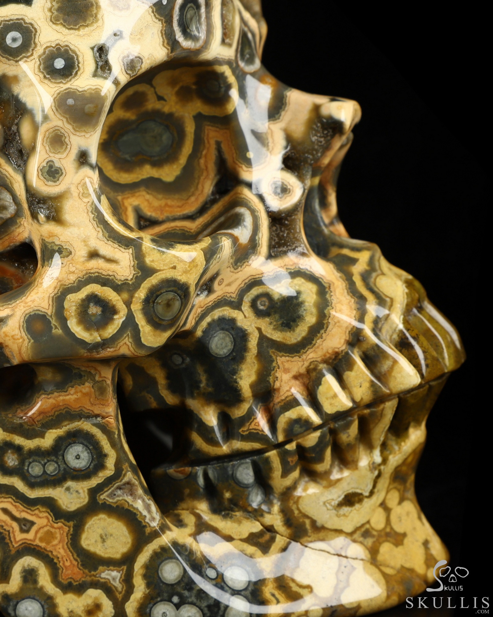 Aug 16, 2026 ACSAD (A Crystal Skull a Day) - Aeon's Ripple - Lifesized 7.5" Ocean Jasper Hand Carved Crystal Skull, Super Realistic, Crystal Healing Aug 16, 2026 ACSAD (A Crystal Skull a Day) - Aeon's Ripple - Lifesized 7.5" Ocean Jasper Hand Carved Crystal Skull, Super Realistic, Crystal Healing