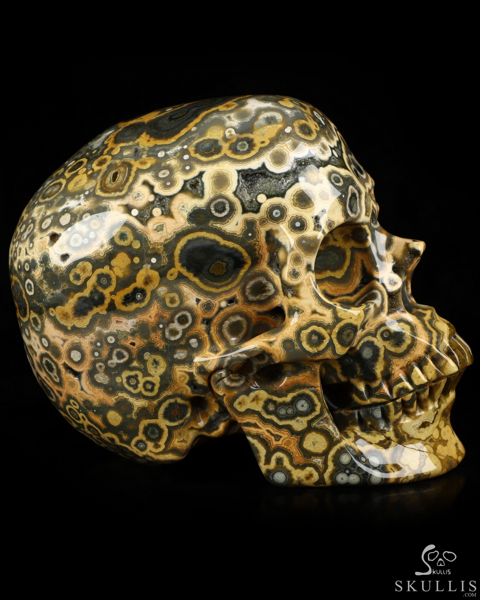 Aug 16, 2026 ACSAD (A Crystal Skull a Day) - Aeon's Ripple - Lifesized 7.5" Ocean Jasper Hand Carved Crystal Skull, Super Realistic, Crystal Healing Aug 16, 2026 ACSAD (A Crystal Skull a Day) - Aeon's Ripple - Lifesized 7.5" Ocean Jasper Hand Carved Crystal Skull, Super Realistic, Crystal Healing