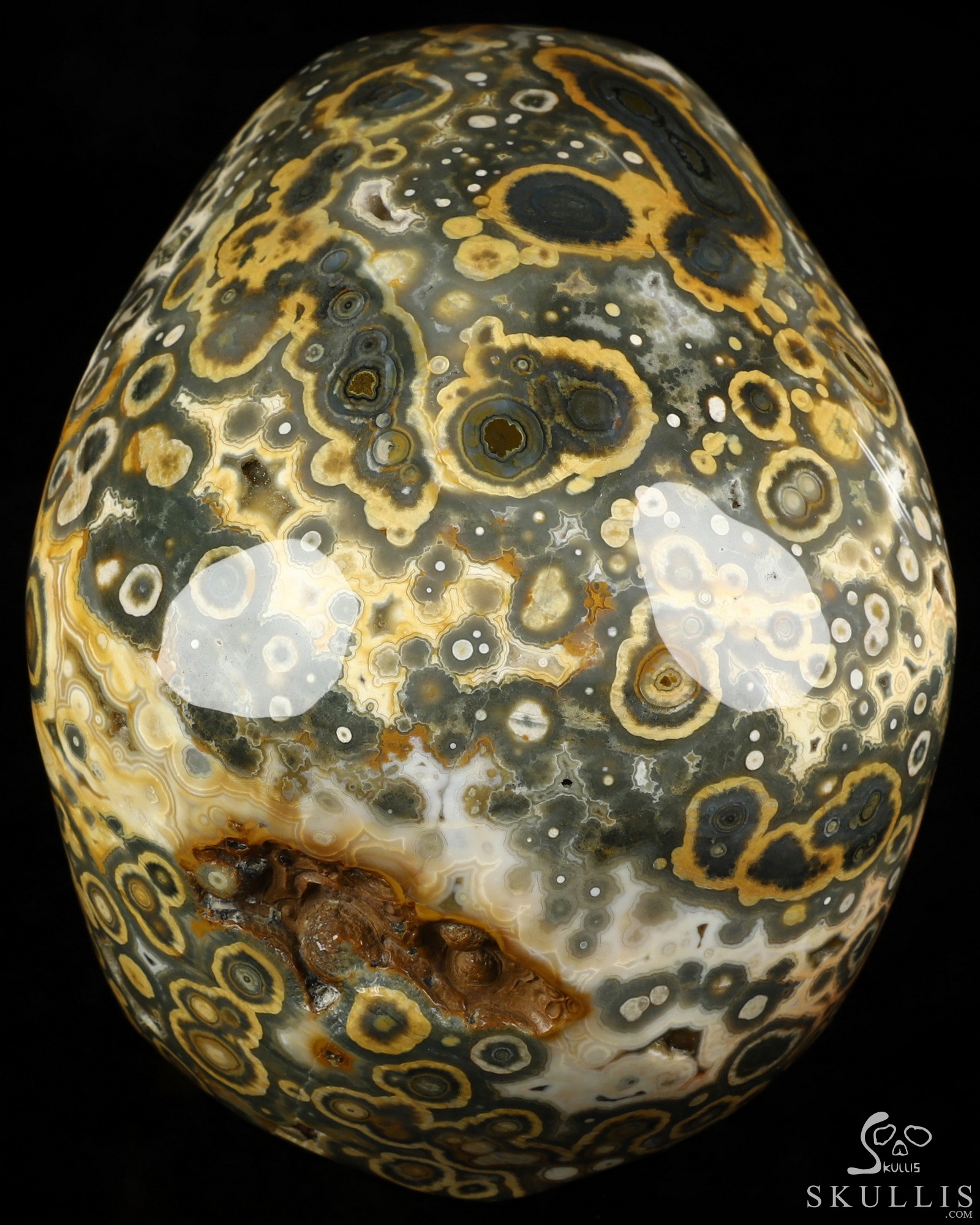 Aug 16, 2026 ACSAD (A Crystal Skull a Day) - Aeon's Ripple - Lifesized 7.5" Ocean Jasper Hand Carved Crystal Skull, Super Realistic, Crystal Healing Aug 16, 2026 ACSAD (A Crystal Skull a Day) - Aeon's Ripple - Lifesized 7.5" Ocean Jasper Hand Carved Crystal Skull, Super Realistic, Crystal Healing