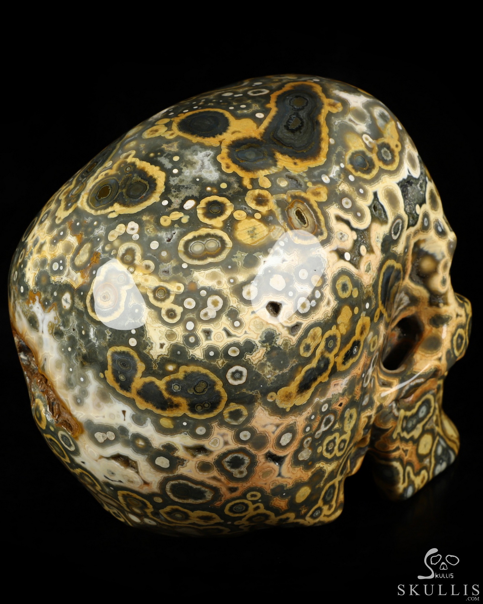 Aug 16, 2026 ACSAD (A Crystal Skull a Day) - Aeon's Ripple - Lifesized 7.5" Ocean Jasper Hand Carved Crystal Skull, Super Realistic, Crystal Healing Aug 16, 2026 ACSAD (A Crystal Skull a Day) - Aeon's Ripple - Lifesized 7.5" Ocean Jasper Hand Carved Crystal Skull, Super Realistic, Crystal Healing