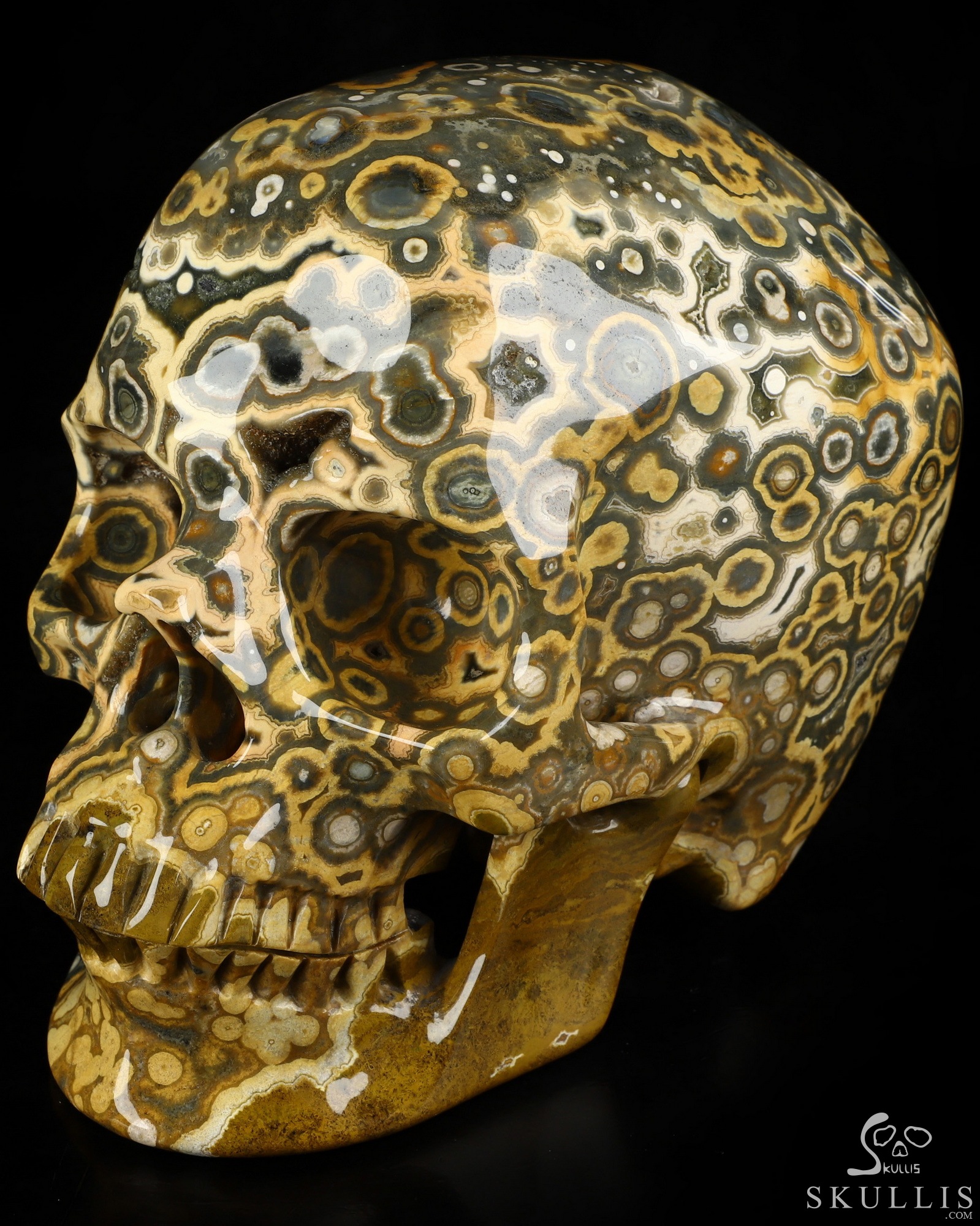 Aug 16, 2026 ACSAD (A Crystal Skull a Day) - Aeon's Ripple - Lifesized 7.5" Ocean Jasper Hand Carved Crystal Skull, Super Realistic, Crystal Healing Aug 16, 2026 ACSAD (A Crystal Skull a Day) - Aeon's Ripple - Lifesized 7.5" Ocean Jasper Hand Carved Crystal Skull, Super Realistic, Crystal Healing