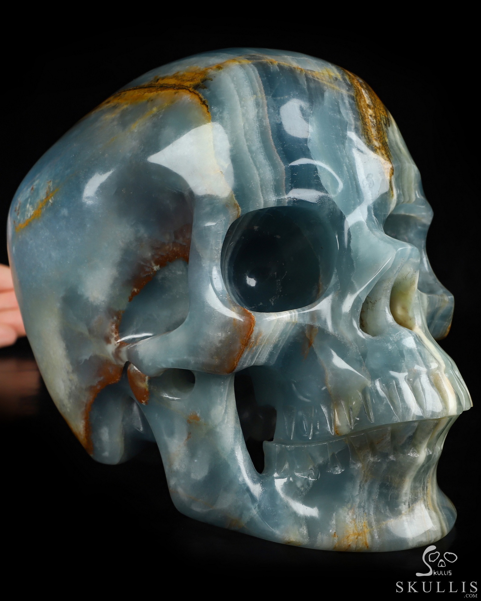 Aug 15, 2026 ACSAD (A Crystal Skull a Day) - The Coastal Meridian - Lifesized 7.5" Blue Onyx Hand Carved Crystal Skull, Super Realistic, Crystal Healing Aug 15, 2026 ACSAD (A Crystal Skull a Day) - The Coastal Meridian - Lifesized 7.5" Blue Onyx Hand Carved Crystal Skull, Super Realistic, Crystal Healing