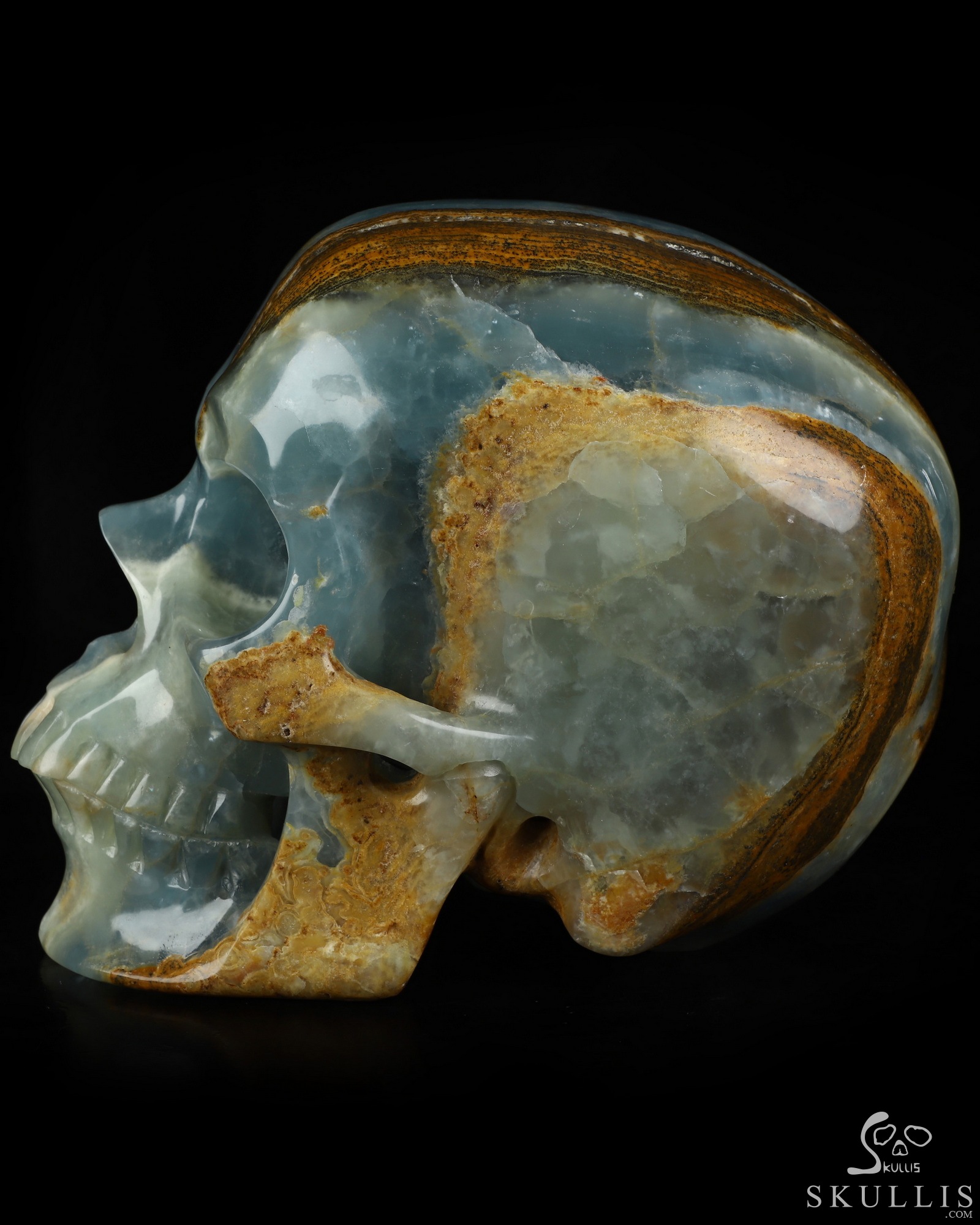 Aug 15, 2026 ACSAD (A Crystal Skull a Day) - The Coastal Meridian - Lifesized 7.5" Blue Onyx Hand Carved Crystal Skull, Super Realistic, Crystal Healing Aug 15, 2026 ACSAD (A Crystal Skull a Day) - The Coastal Meridian - Lifesized 7.5" Blue Onyx Hand Carved Crystal Skull, Super Realistic, Crystal Healing