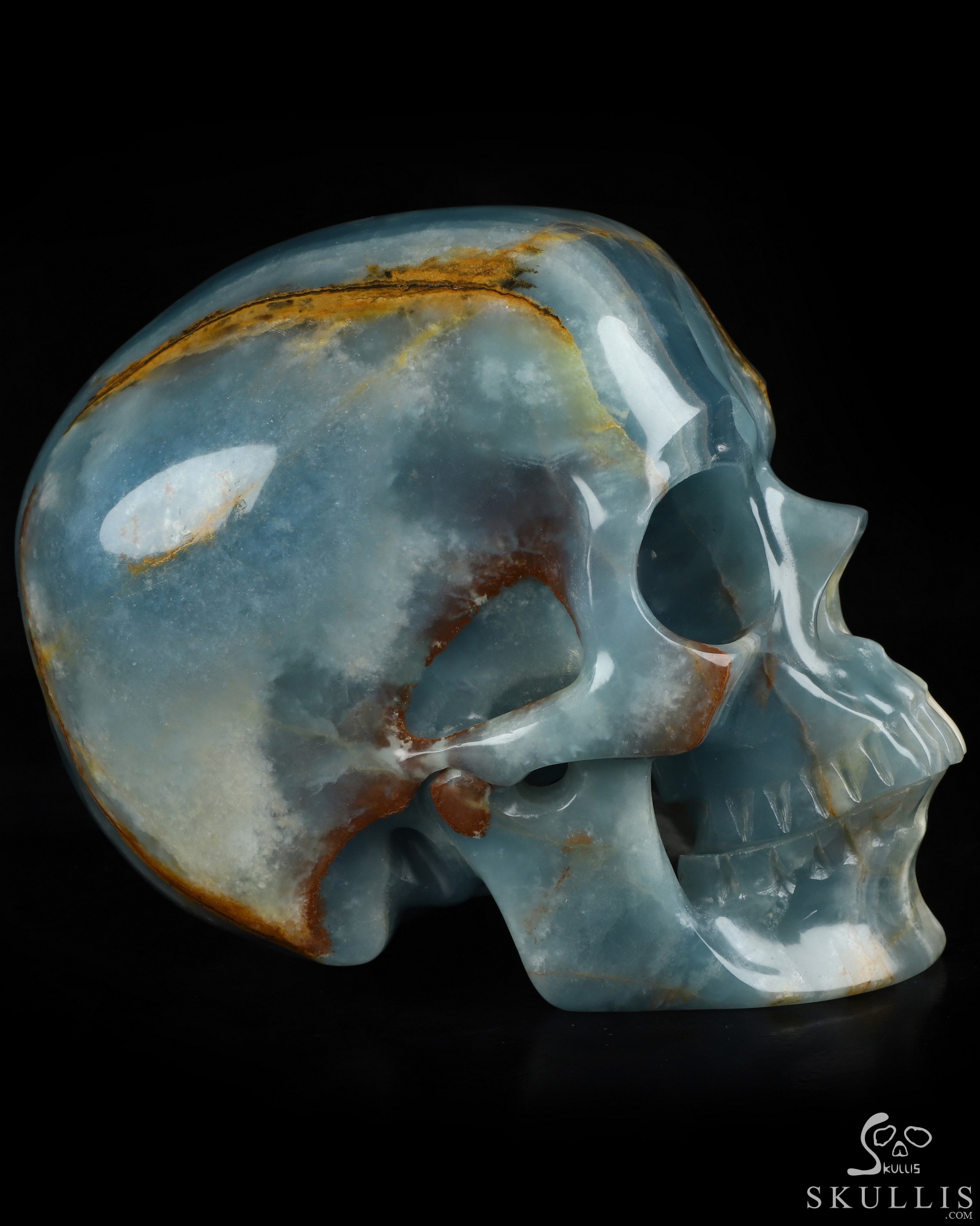 Aug 15, 2026 ACSAD (A Crystal Skull a Day) - The Coastal Meridian - Lifesized 7.5" Blue Onyx Hand Carved Crystal Skull, Super Realistic, Crystal Healing Aug 15, 2026 ACSAD (A Crystal Skull a Day) - The Coastal Meridian - Lifesized 7.5" Blue Onyx Hand Carved Crystal Skull, Super Realistic, Crystal Healing