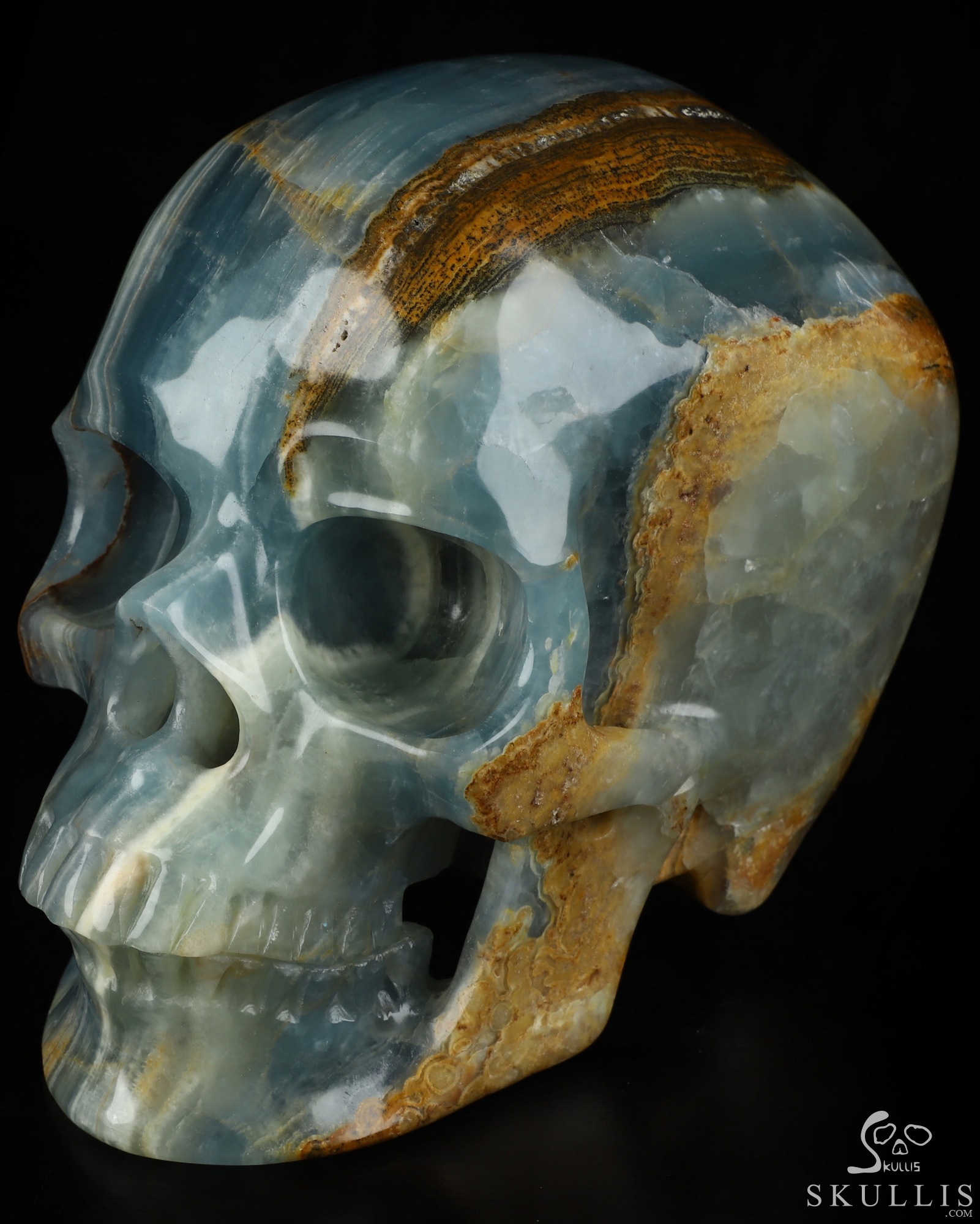 Aug 15, 2026 ACSAD (A Crystal Skull a Day) - The Coastal Meridian - Lifesized 7.5" Blue Onyx Hand Carved Crystal Skull, Super Realistic, Crystal Healing Aug 15, 2026 ACSAD (A Crystal Skull a Day) - The Coastal Meridian - Lifesized 7.5" Blue Onyx Hand Carved Crystal Skull, Super Realistic, Crystal Healing
