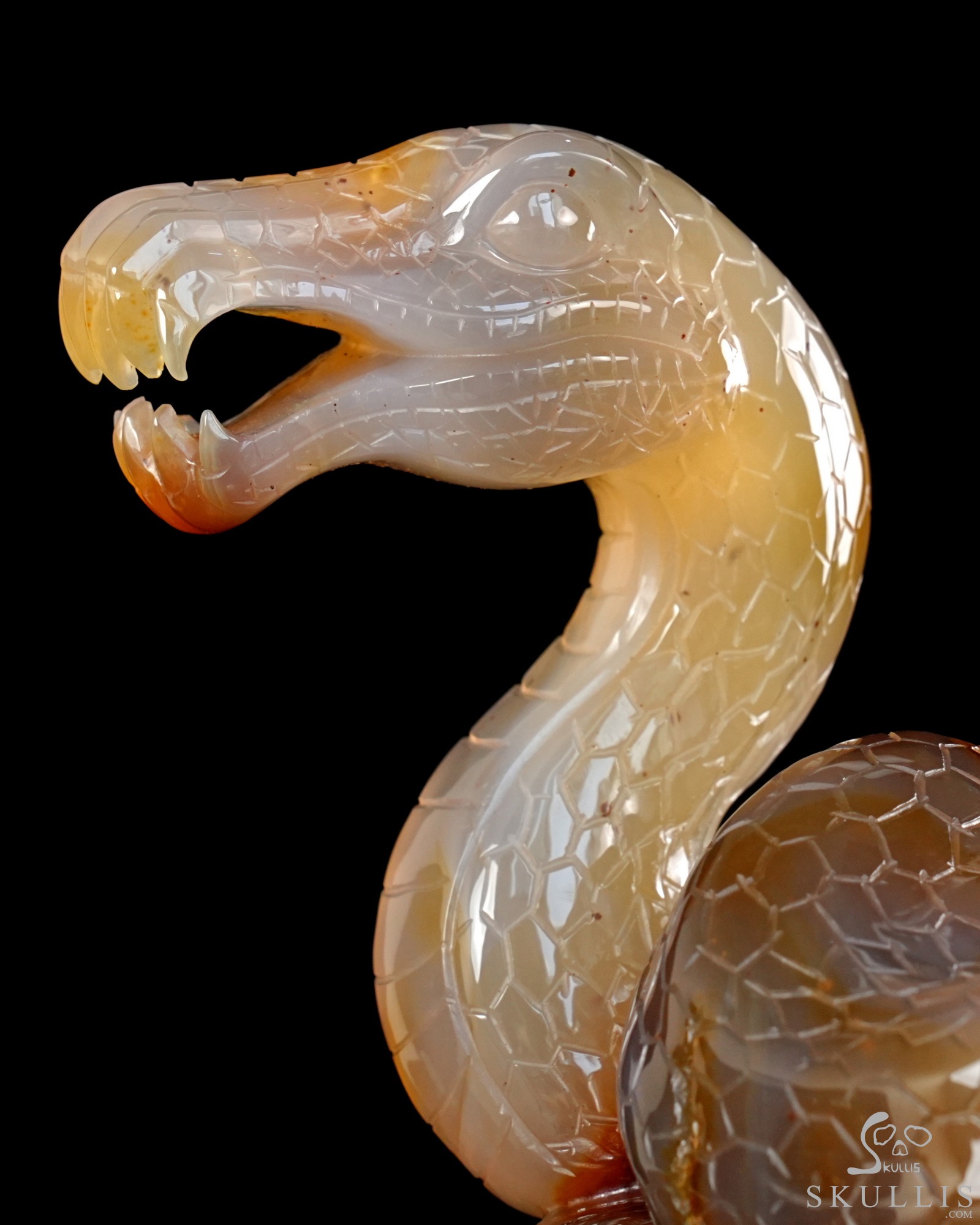 Aug 12, 2026 ACSAD (A Crystal Skull a Day) - Dragonsnake’s Vigil - 7.6" Carnelian Hand Carved Dragonsnake & Crystal Skull Sculpture, Crystal Healing Aug 12, 2026 ACSAD (A Crystal Skull a Day) - Dragonsnake’s Vigil - 7.6" Carnelian Hand Carved Dragonsnake & Crystal Skull Sculpture, Crystal Healing