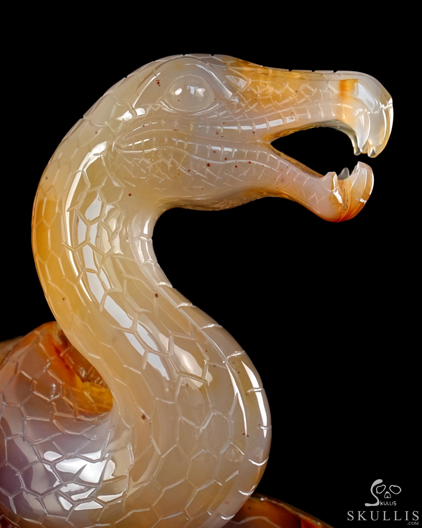 Aug 12, 2026 ACSAD (A Crystal Skull a Day) - Dragonsnake’s Vigil - 7.6" Carnelian Hand Carved Dragonsnake & Crystal Skull Sculpture, Crystal Healing Aug 12, 2026 ACSAD (A Crystal Skull a Day) - Dragonsnake’s Vigil - 7.6" Carnelian Hand Carved Dragonsnake & Crystal Skull Sculpture, Crystal Healing