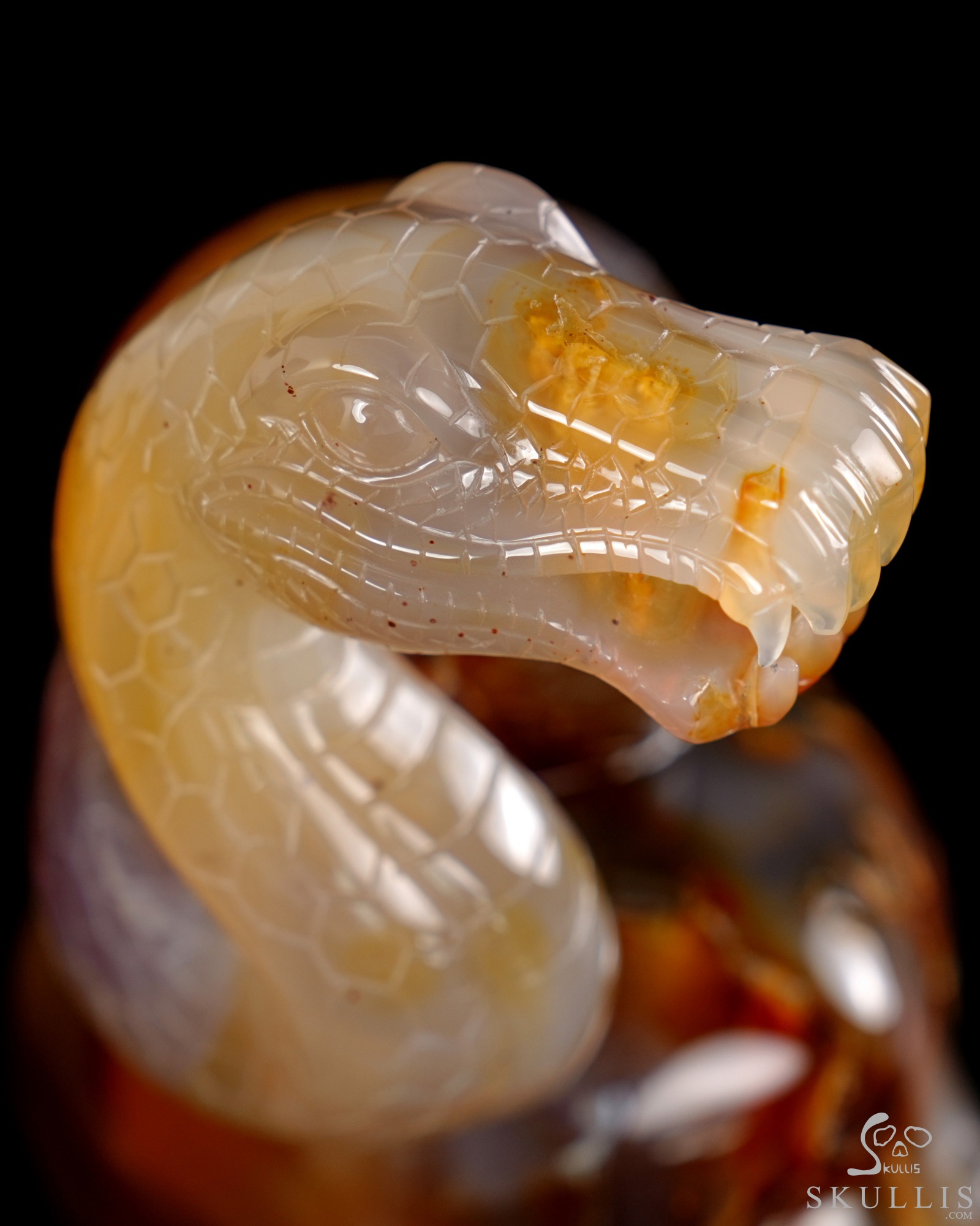 Aug 12, 2026 ACSAD (A Crystal Skull a Day) - Dragonsnake’s Vigil - 7.6" Carnelian Hand Carved Dragonsnake & Crystal Skull Sculpture, Crystal Healing Aug 12, 2026 ACSAD (A Crystal Skull a Day) - Dragonsnake’s Vigil - 7.6" Carnelian Hand Carved Dragonsnake & Crystal Skull Sculpture, Crystal Healing