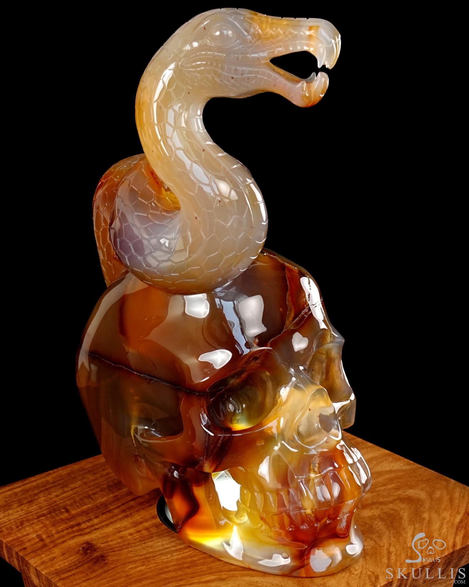 Aug 12, 2026 ACSAD (A Crystal Skull a Day) - Dragonsnake’s Vigil - 7.6" Carnelian Hand Carved Dragonsnake & Crystal Skull Sculpture, Crystal Healing Aug 12, 2026 ACSAD (A Crystal Skull a Day) - Dragonsnake’s Vigil - 7.6" Carnelian Hand Carved Dragonsnake & Crystal Skull Sculpture, Crystal Healing