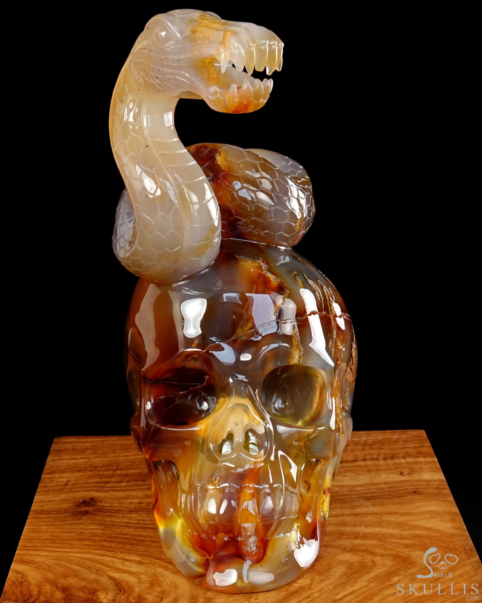 Aug 12, 2026 ACSAD (A Crystal Skull a Day) - Dragonsnake’s Vigil - 7.6" Carnelian Hand Carved Dragonsnake & Crystal Skull Sculpture, Crystal Healing Aug 12, 2026 ACSAD (A Crystal Skull a Day) - Dragonsnake’s Vigil - 7.6" Carnelian Hand Carved Dragonsnake & Crystal Skull Sculpture, Crystal Healing