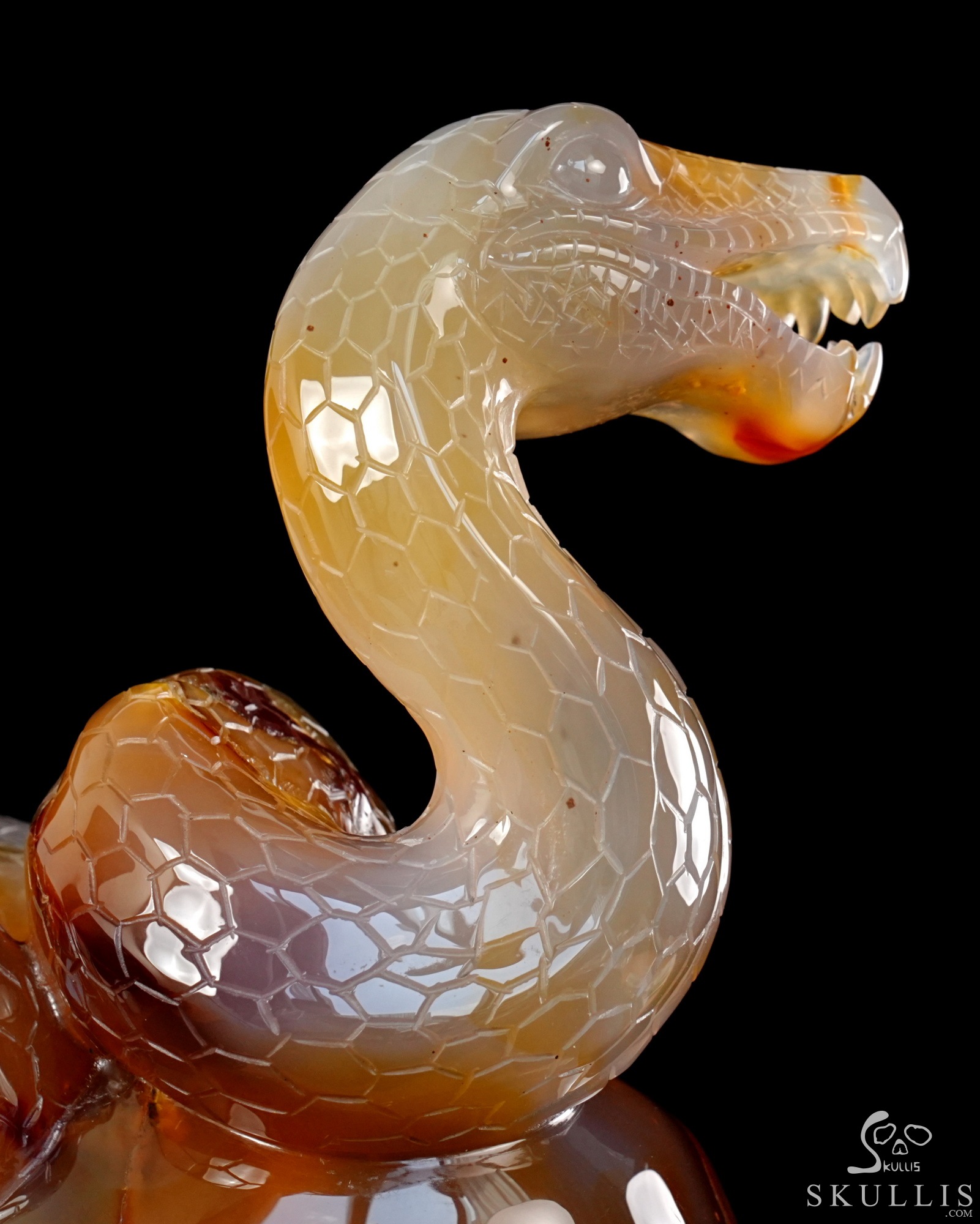 Aug 12, 2026 ACSAD (A Crystal Skull a Day) - Dragonsnake’s Vigil - 7.6" Carnelian Hand Carved Dragonsnake & Crystal Skull Sculpture, Crystal Healing Aug 12, 2026 ACSAD (A Crystal Skull a Day) - Dragonsnake’s Vigil - 7.6" Carnelian Hand Carved Dragonsnake & Crystal Skull Sculpture, Crystal Healing