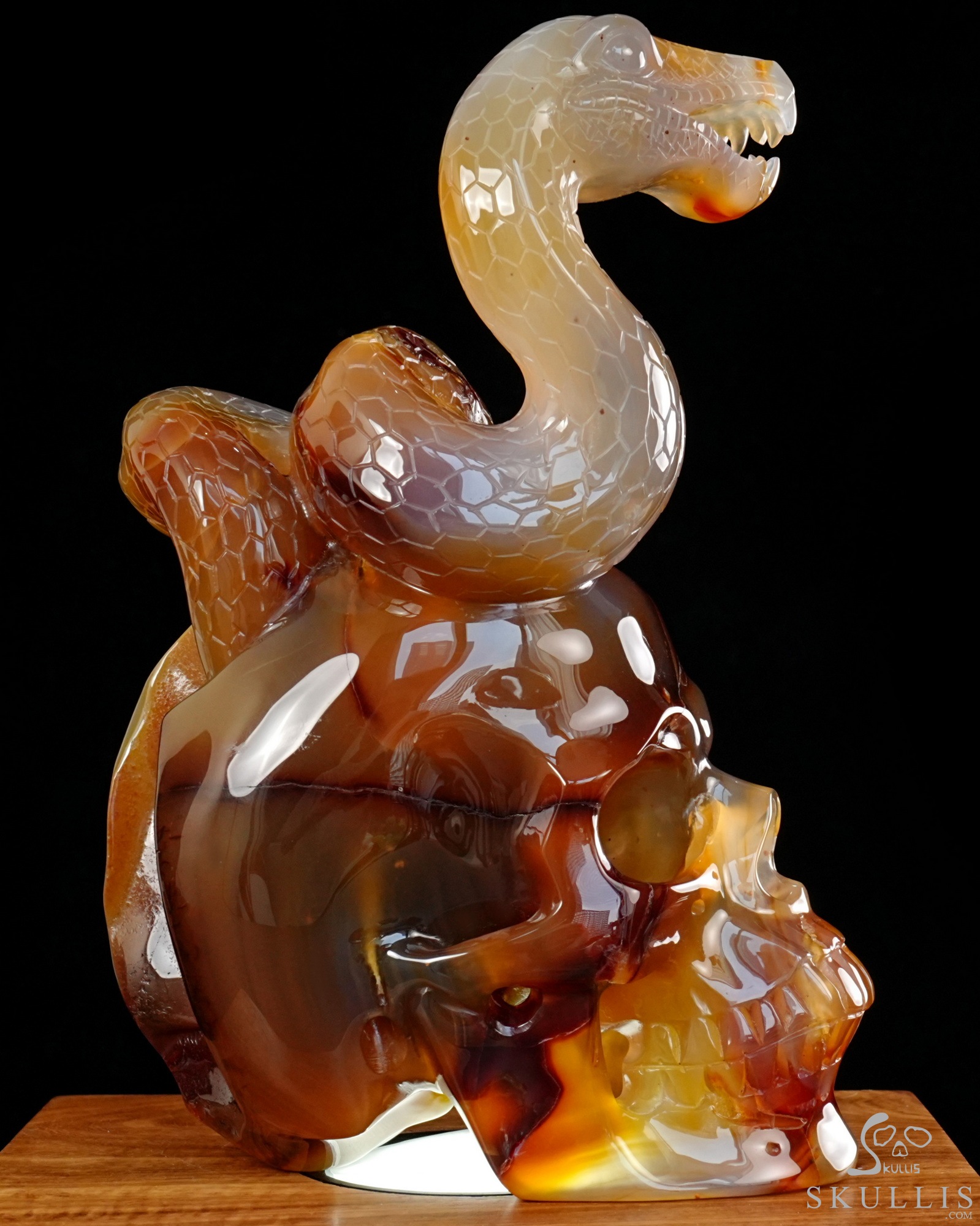 Aug 12, 2026 ACSAD (A Crystal Skull a Day) - Dragonsnake’s Vigil - 7.6" Carnelian Hand Carved Dragonsnake & Crystal Skull Sculpture, Crystal Healing Aug 12, 2026 ACSAD (A Crystal Skull a Day) - Dragonsnake’s Vigil - 7.6" Carnelian Hand Carved Dragonsnake & Crystal Skull Sculpture, Crystal Healing