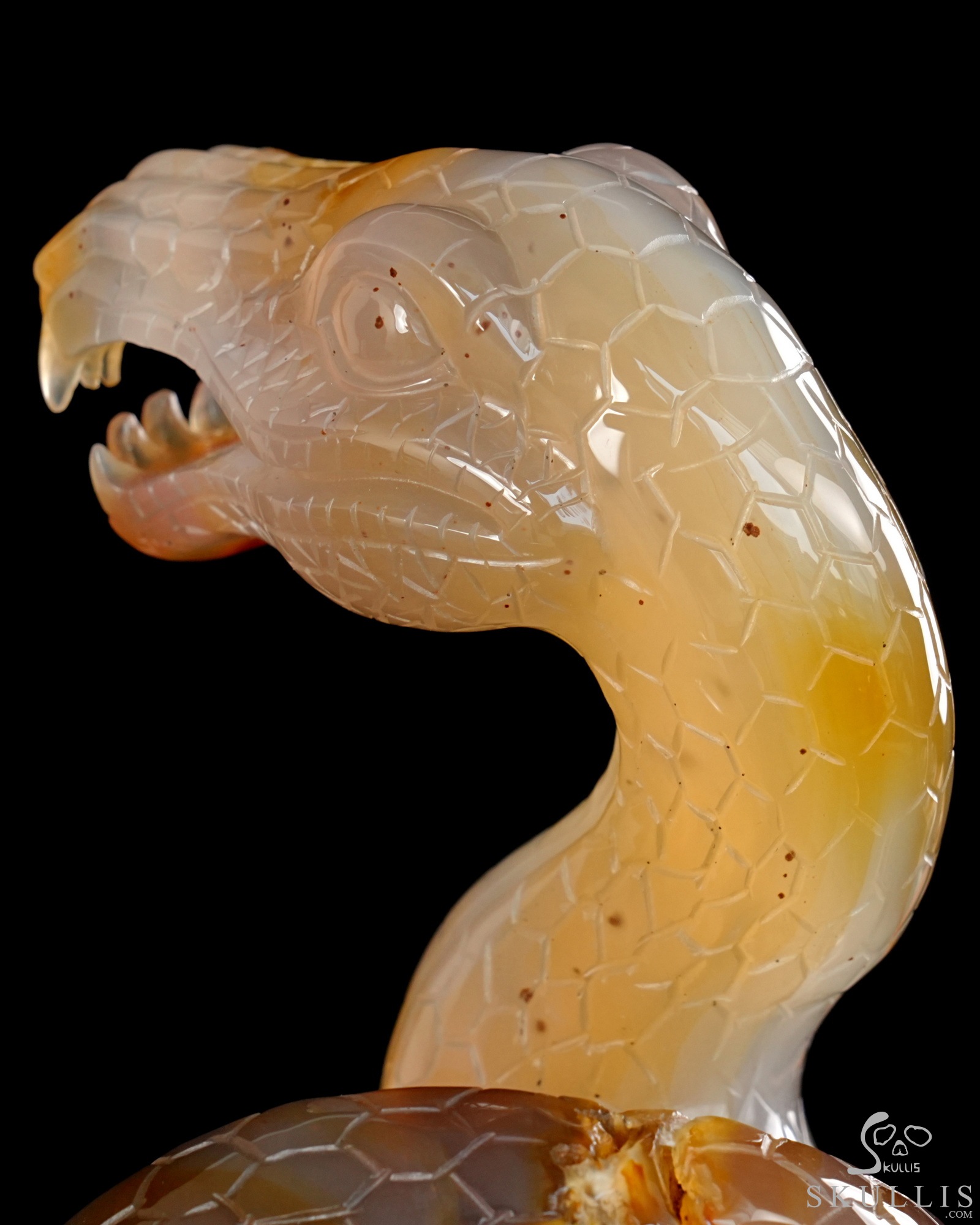 Aug 12, 2026 ACSAD (A Crystal Skull a Day) - Dragonsnake’s Vigil - 7.6" Carnelian Hand Carved Dragonsnake & Crystal Skull Sculpture, Crystal Healing Aug 12, 2026 ACSAD (A Crystal Skull a Day) - Dragonsnake’s Vigil - 7.6" Carnelian Hand Carved Dragonsnake & Crystal Skull Sculpture, Crystal Healing