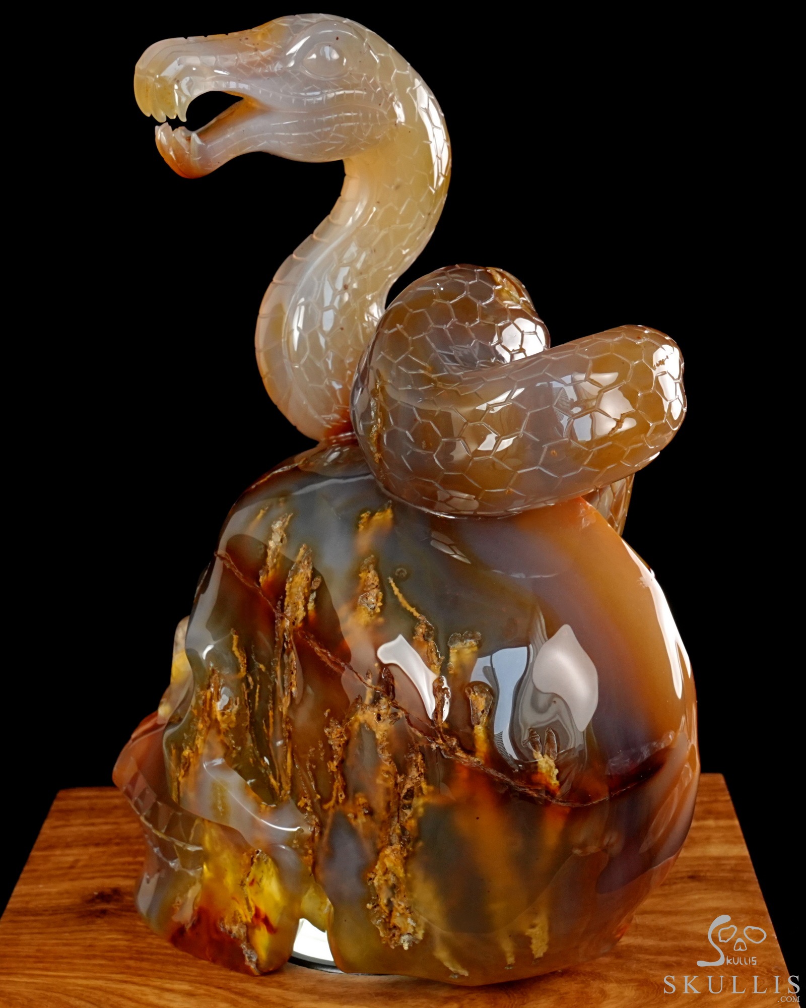 Aug 12, 2026 ACSAD (A Crystal Skull a Day) - Dragonsnake’s Vigil - 7.6" Carnelian Hand Carved Dragonsnake & Crystal Skull Sculpture, Crystal Healing Aug 12, 2026 ACSAD (A Crystal Skull a Day) - Dragonsnake’s Vigil - 7.6" Carnelian Hand Carved Dragonsnake & Crystal Skull Sculpture, Crystal Healing
