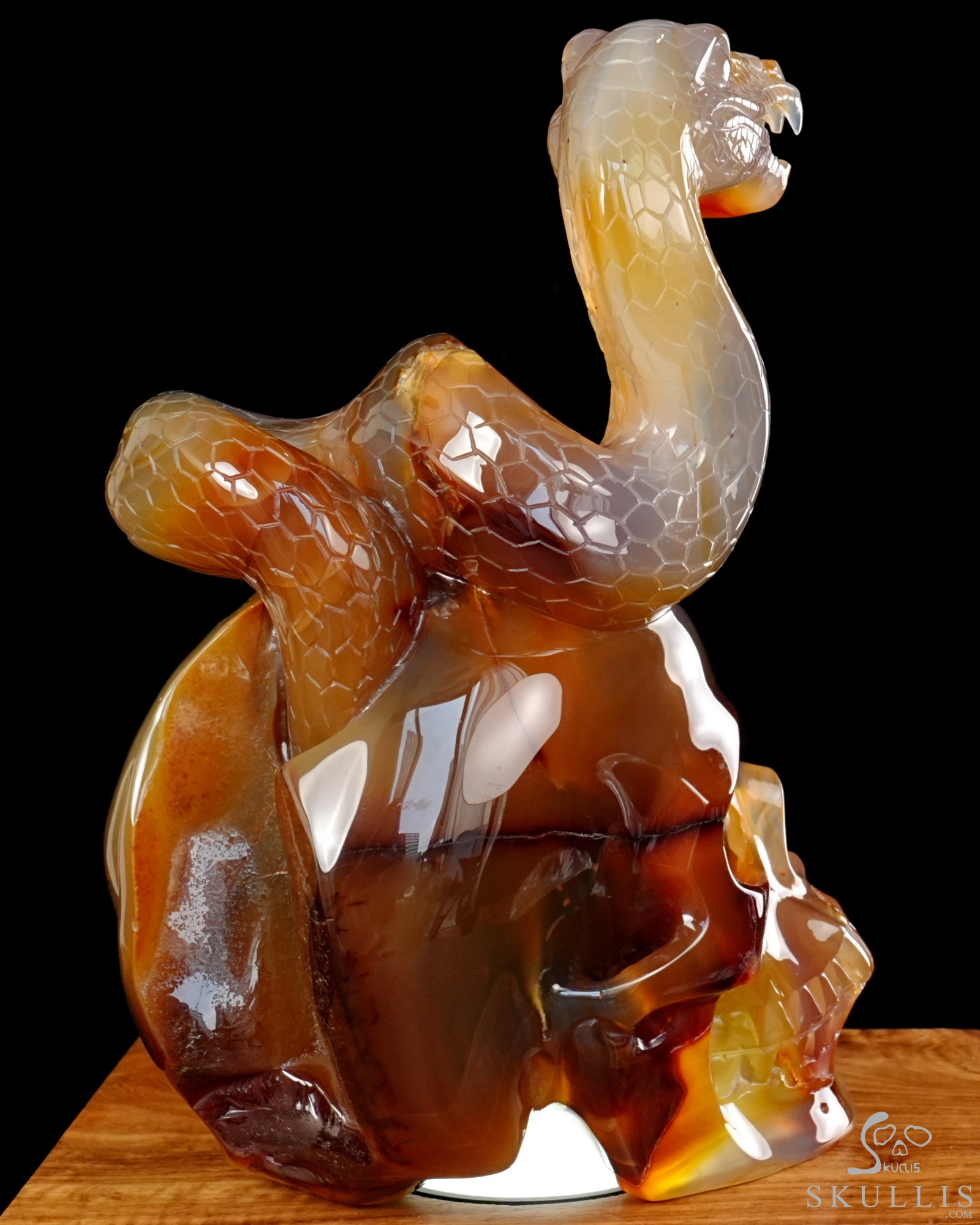 Aug 12, 2026 ACSAD (A Crystal Skull a Day) - Dragonsnake’s Vigil - 7.6" Carnelian Hand Carved Dragonsnake & Crystal Skull Sculpture, Crystal Healing Aug 12, 2026 ACSAD (A Crystal Skull a Day) - Dragonsnake’s Vigil - 7.6" Carnelian Hand Carved Dragonsnake & Crystal Skull Sculpture, Crystal Healing
