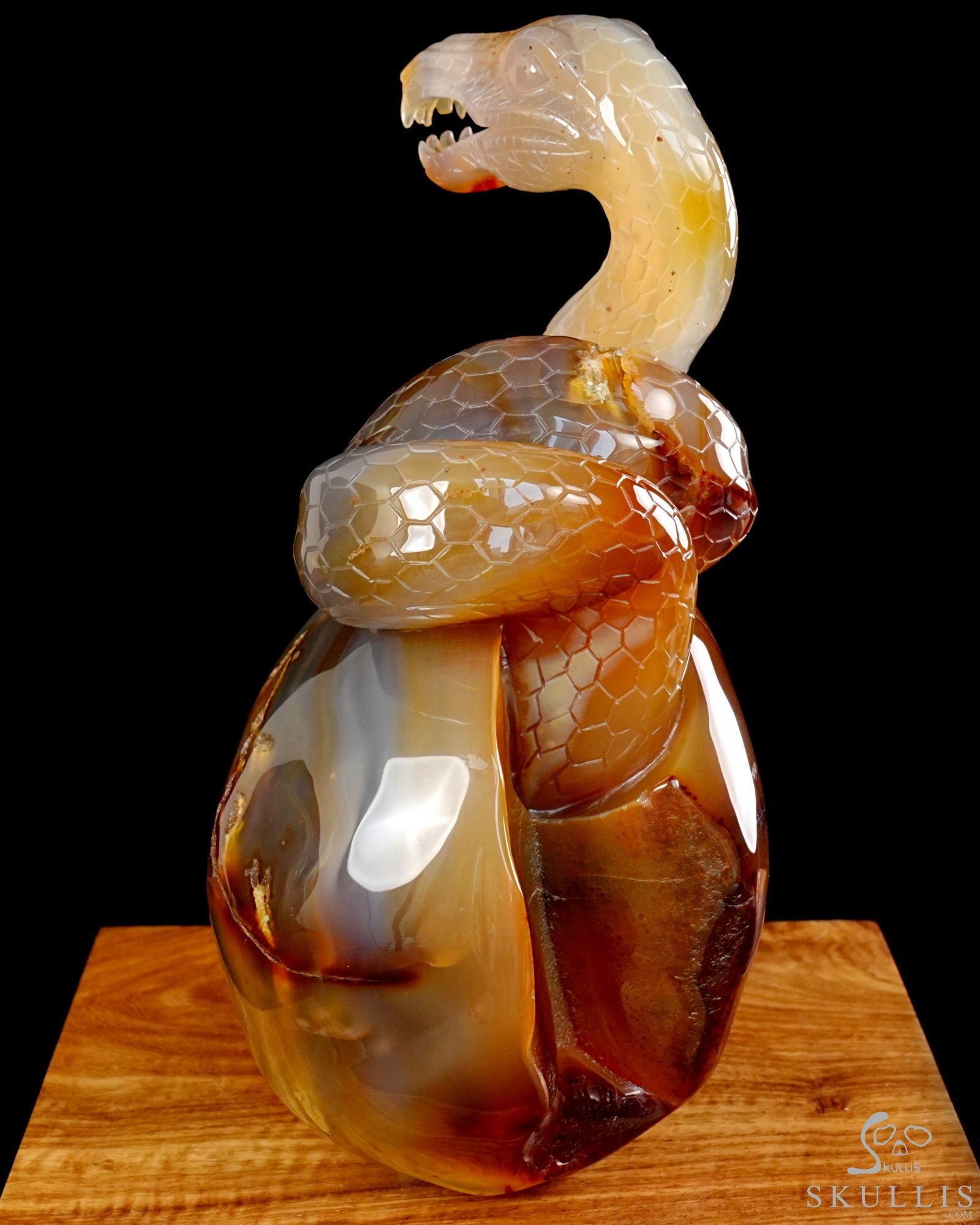 Aug 12, 2026 ACSAD (A Crystal Skull a Day) - Dragonsnake’s Vigil - 7.6" Carnelian Hand Carved Dragonsnake & Crystal Skull Sculpture, Crystal Healing Aug 12, 2026 ACSAD (A Crystal Skull a Day) - Dragonsnake’s Vigil - 7.6" Carnelian Hand Carved Dragonsnake & Crystal Skull Sculpture, Crystal Healing
