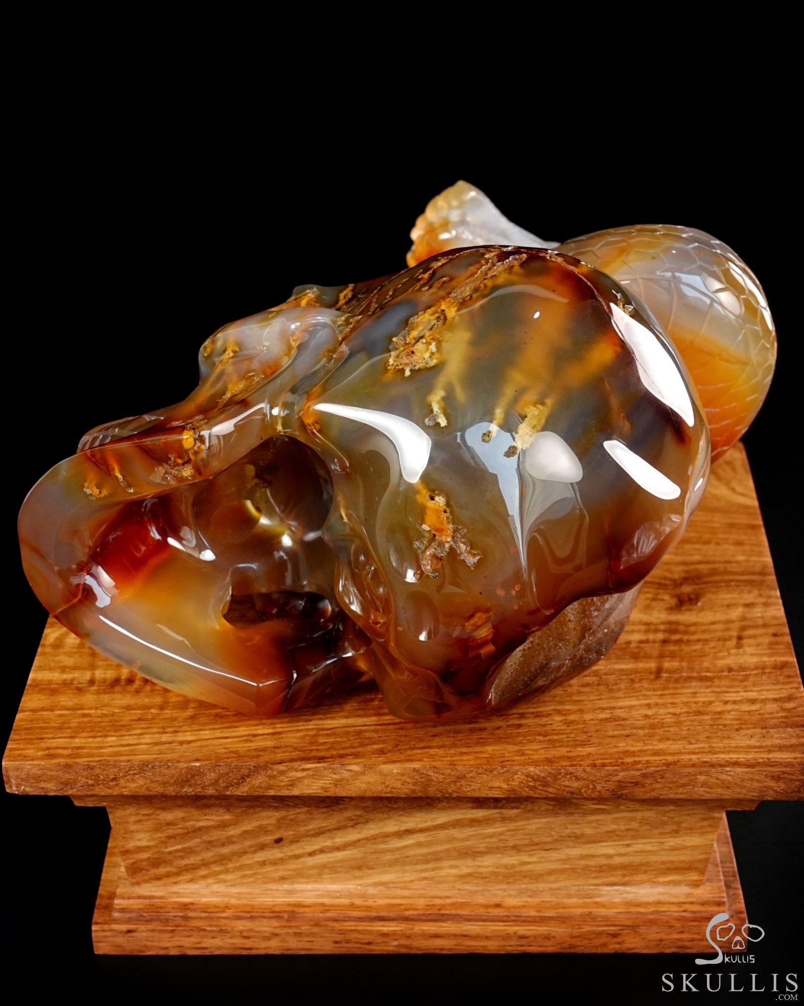 Aug 12, 2026 ACSAD (A Crystal Skull a Day) - Dragonsnake’s Vigil - 7.6" Carnelian Hand Carved Dragonsnake & Crystal Skull Sculpture, Crystal Healing Aug 12, 2026 ACSAD (A Crystal Skull a Day) - Dragonsnake’s Vigil - 7.6" Carnelian Hand Carved Dragonsnake & Crystal Skull Sculpture, Crystal Healing