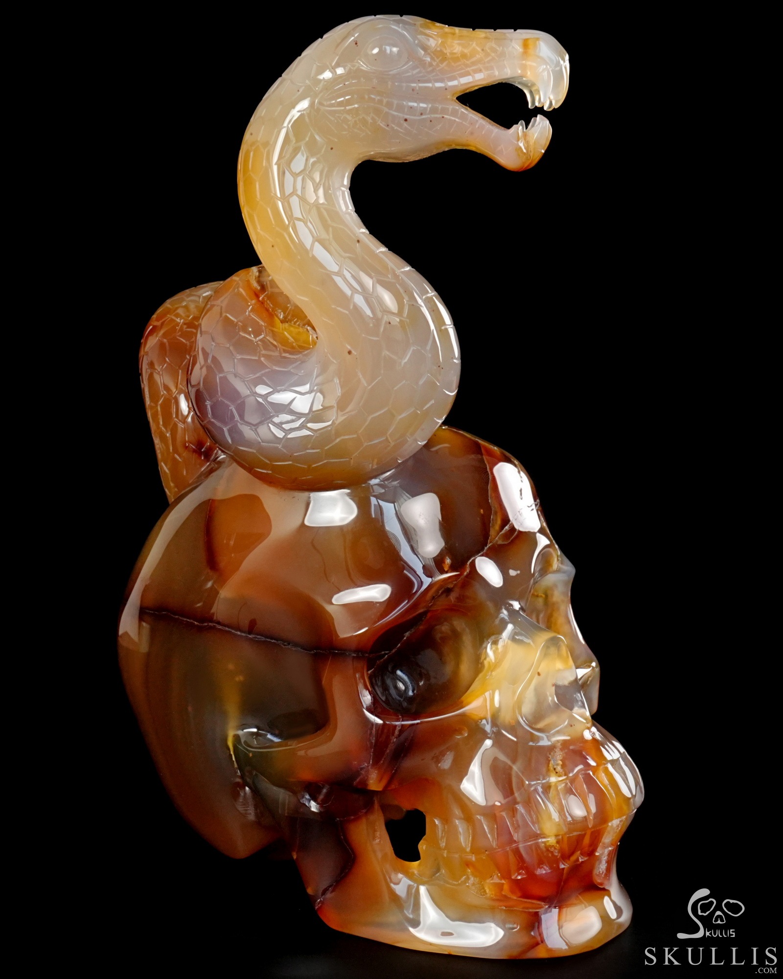 Aug 12, 2026 ACSAD (A Crystal Skull a Day) - Dragonsnake’s Vigil - 7.6" Carnelian Hand Carved Dragonsnake & Crystal Skull Sculpture, Crystal Healing Aug 12, 2026 ACSAD (A Crystal Skull a Day) - Dragonsnake’s Vigil - 7.6" Carnelian Hand Carved Dragonsnake & Crystal Skull Sculpture, Crystal Healing
