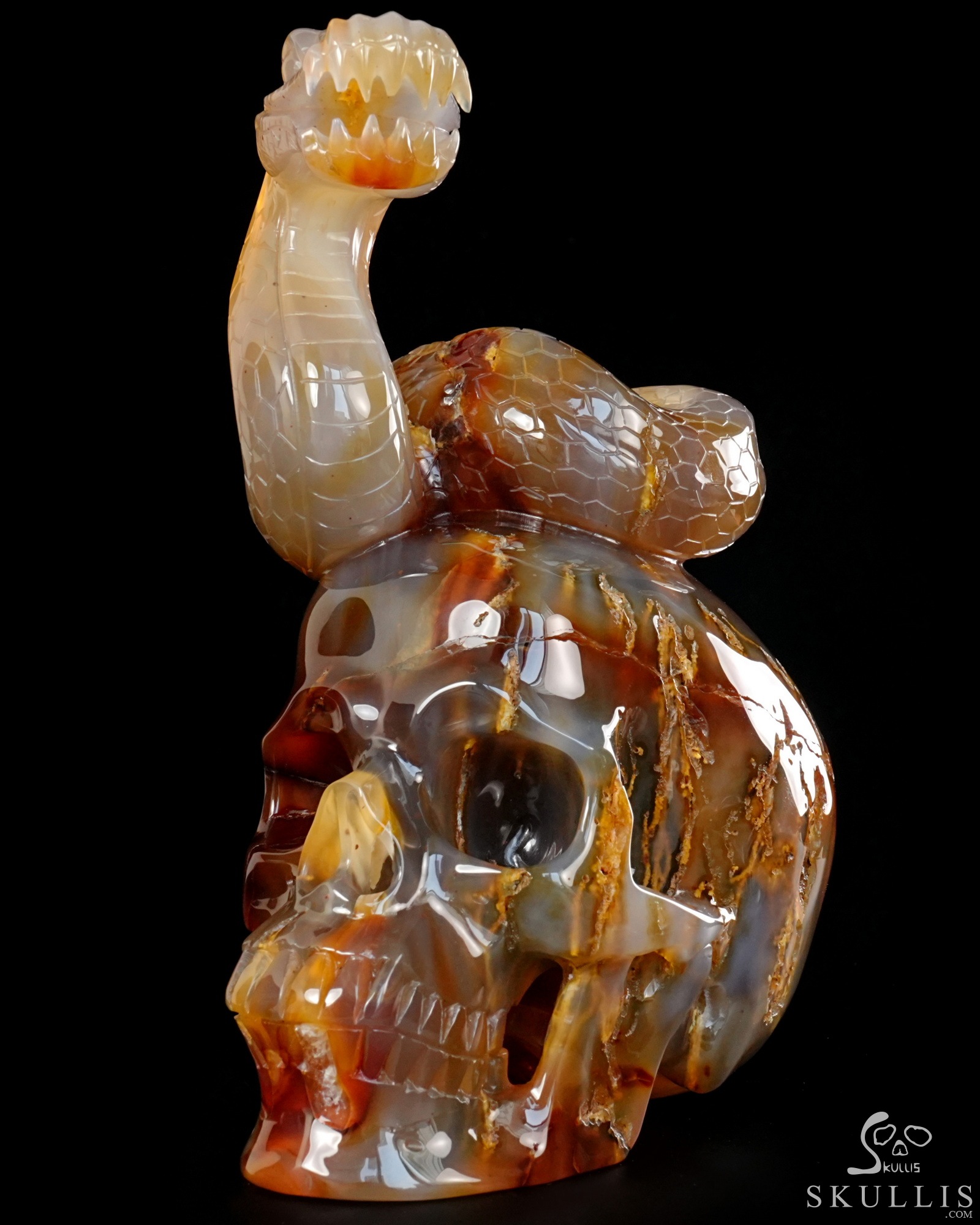 Aug 12, 2026 ACSAD (A Crystal Skull a Day) - Dragonsnake’s Vigil - 7.6" Carnelian Hand Carved Dragonsnake & Crystal Skull Sculpture, Crystal Healing Aug 12, 2026 ACSAD (A Crystal Skull a Day) - Dragonsnake’s Vigil - 7.6" Carnelian Hand Carved Dragonsnake & Crystal Skull Sculpture, Crystal Healing