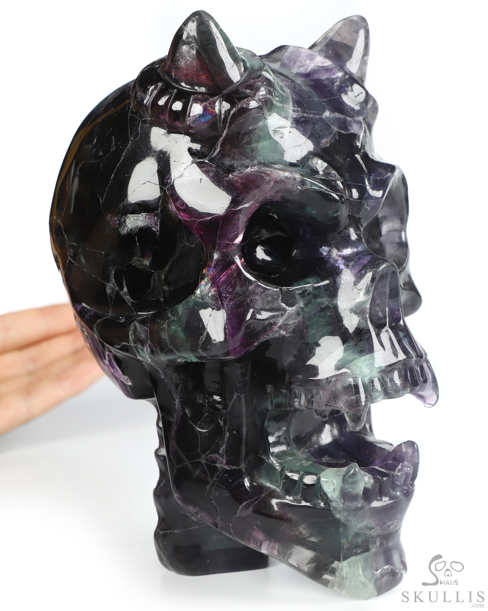 Ring-Base Horned Skull - 6.4" Fluorite Hand Carved Crystal Skull Fine Art Sculpture, Crystal Healing Ring-Base Horned Skull - 6.4" Fluorite Hand Carved Crystal Skull Fine Art Sculpture, Crystal Healing