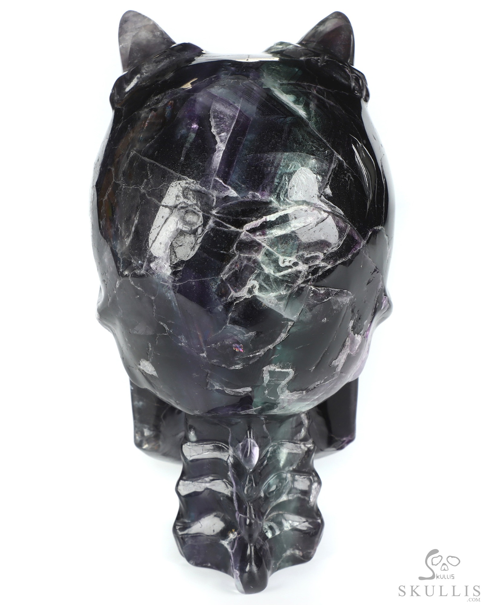 Ring-Base Horned Skull - 6.4" Fluorite Hand Carved Crystal Skull Fine Art Sculpture, Crystal Healing Ring-Base Horned Skull - 6.4" Fluorite Hand Carved Crystal Skull Fine Art Sculpture, Crystal Healing