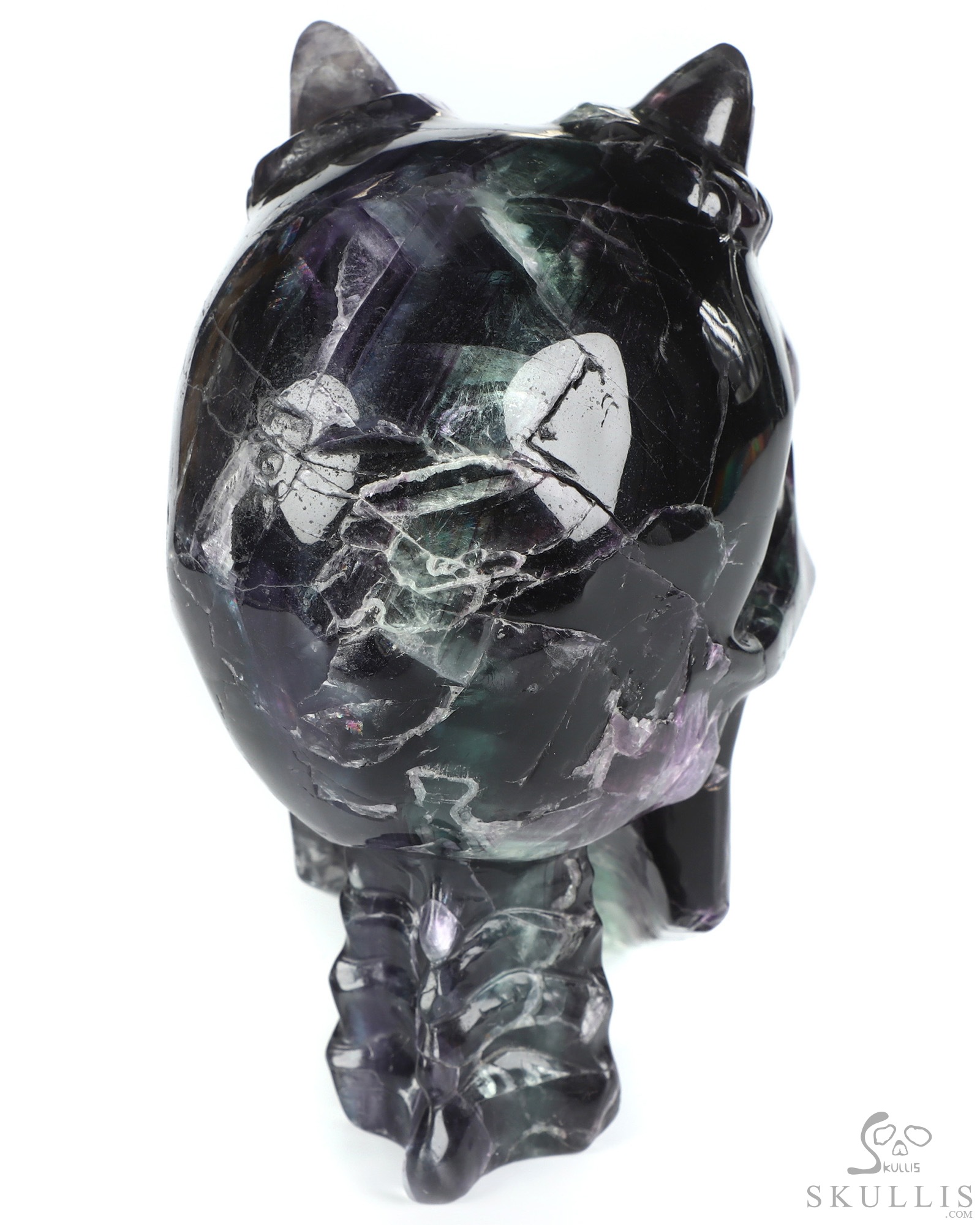 Ring-Base Horned Skull - 6.4" Fluorite Hand Carved Crystal Skull Fine Art Sculpture, Crystal Healing Ring-Base Horned Skull - 6.4" Fluorite Hand Carved Crystal Skull Fine Art Sculpture, Crystal Healing