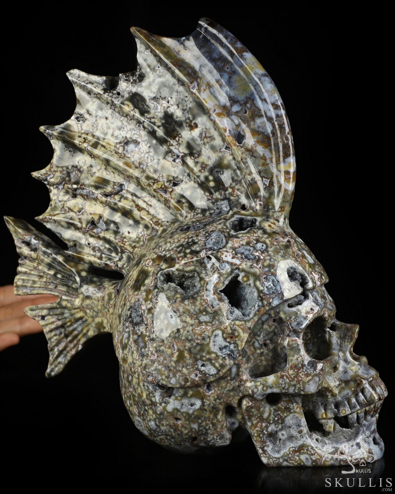 8.7" Blue Ocean AgateHand Carved Fish Crystal Skull Fine Art Sculpture, Crystal Healing 8.7" Blue Ocean AgateHand Carved Fish Crystal Skull Fine Art Sculpture, Crystal Healing