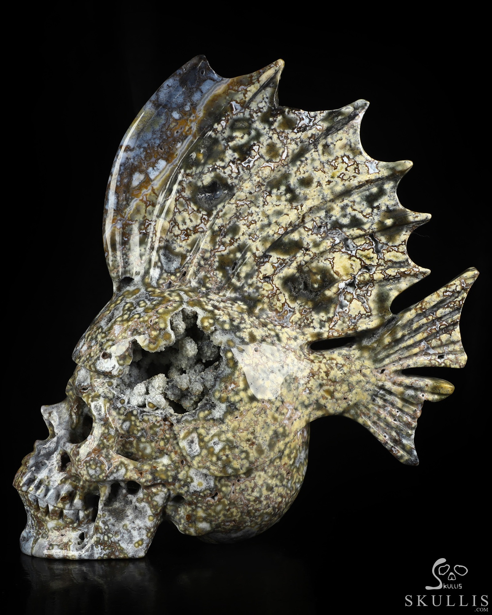 8.7" Blue Ocean AgateHand Carved Fish Crystal Skull Fine Art Sculpture, Crystal Healing 8.7" Blue Ocean AgateHand Carved Fish Crystal Skull Fine Art Sculpture, Crystal Healing