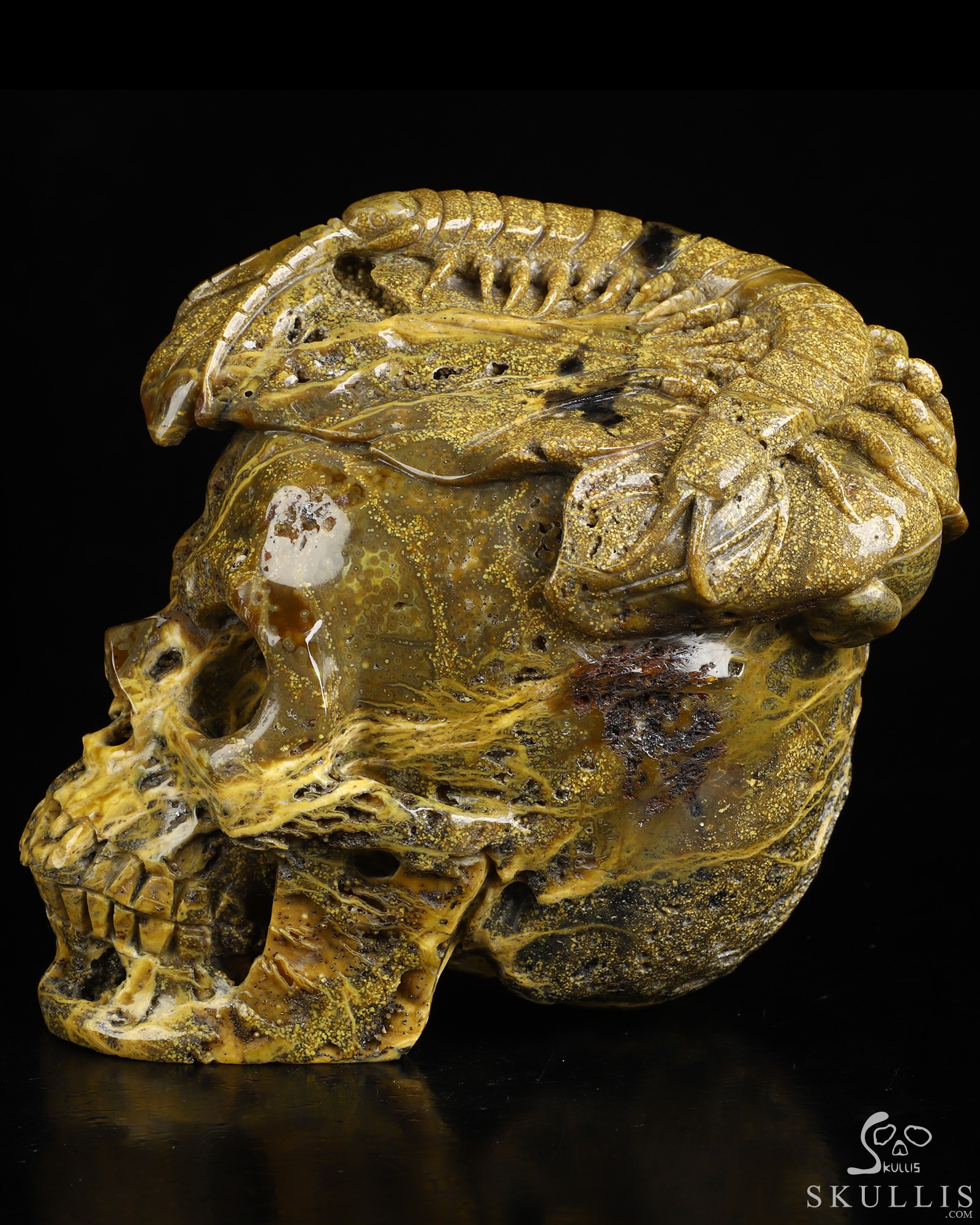 6.6" Ocean Jasper Hand Carved Crystal Skull Fine Art Sculpture, Crystal Healing 6.6" Ocean Jasper Hand Carved Crystal Skull Fine Art Sculpture, Crystal Healing
