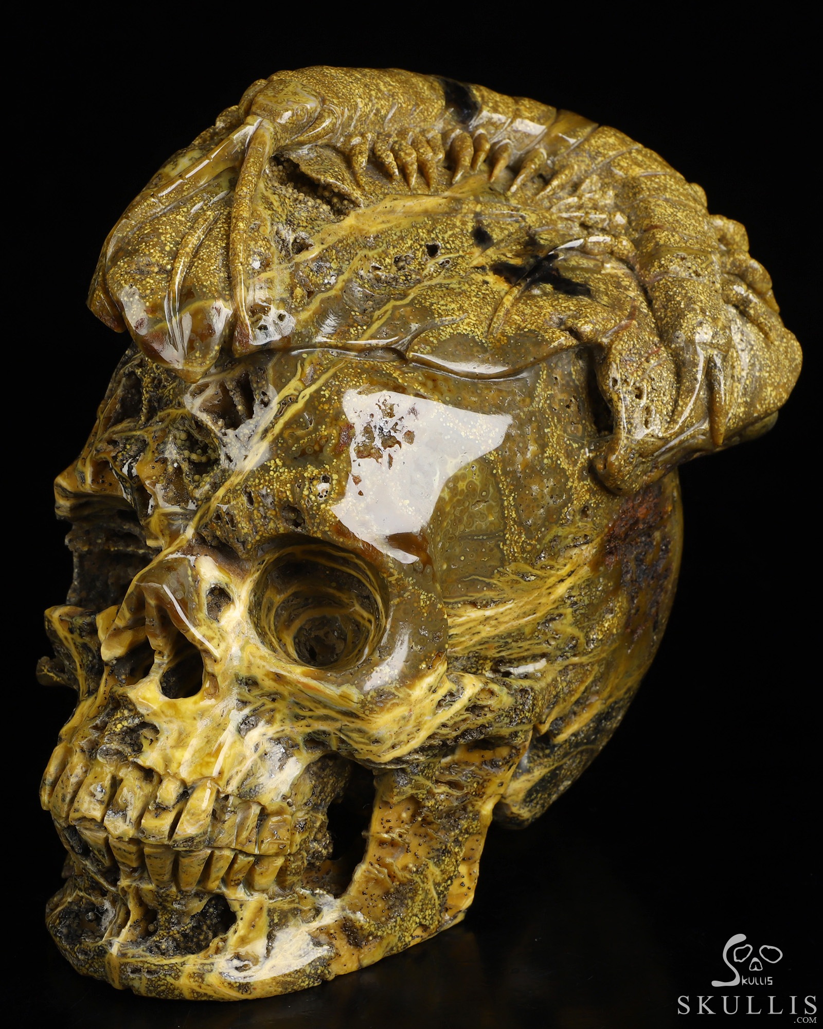 6.6" Ocean Jasper Hand Carved Crystal Skull Fine Art Sculpture, Crystal Healing 6.6" Ocean Jasper Hand Carved Crystal Skull Fine Art Sculpture, Crystal Healing