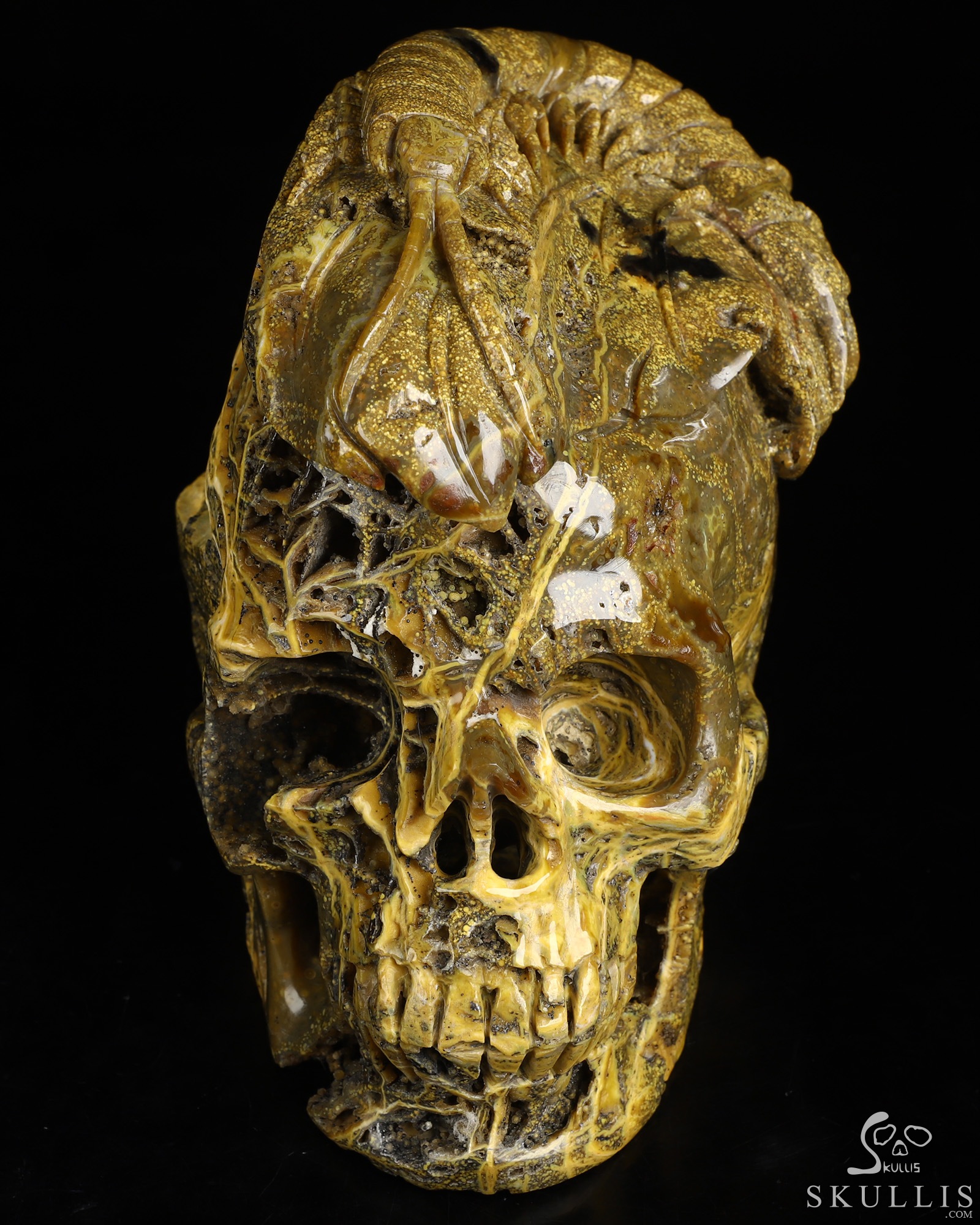 6.6" Ocean Jasper Hand Carved Crystal Skull Fine Art Sculpture, Crystal Healing 6.6" Ocean Jasper Hand Carved Crystal Skull Fine Art Sculpture, Crystal Healing