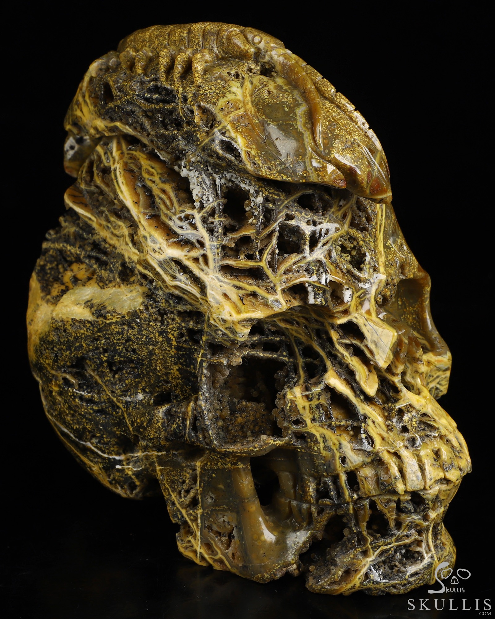 6.6" Ocean Jasper Hand Carved Crystal Skull Fine Art Sculpture, Crystal Healing 6.6" Ocean Jasper Hand Carved Crystal Skull Fine Art Sculpture, Crystal Healing