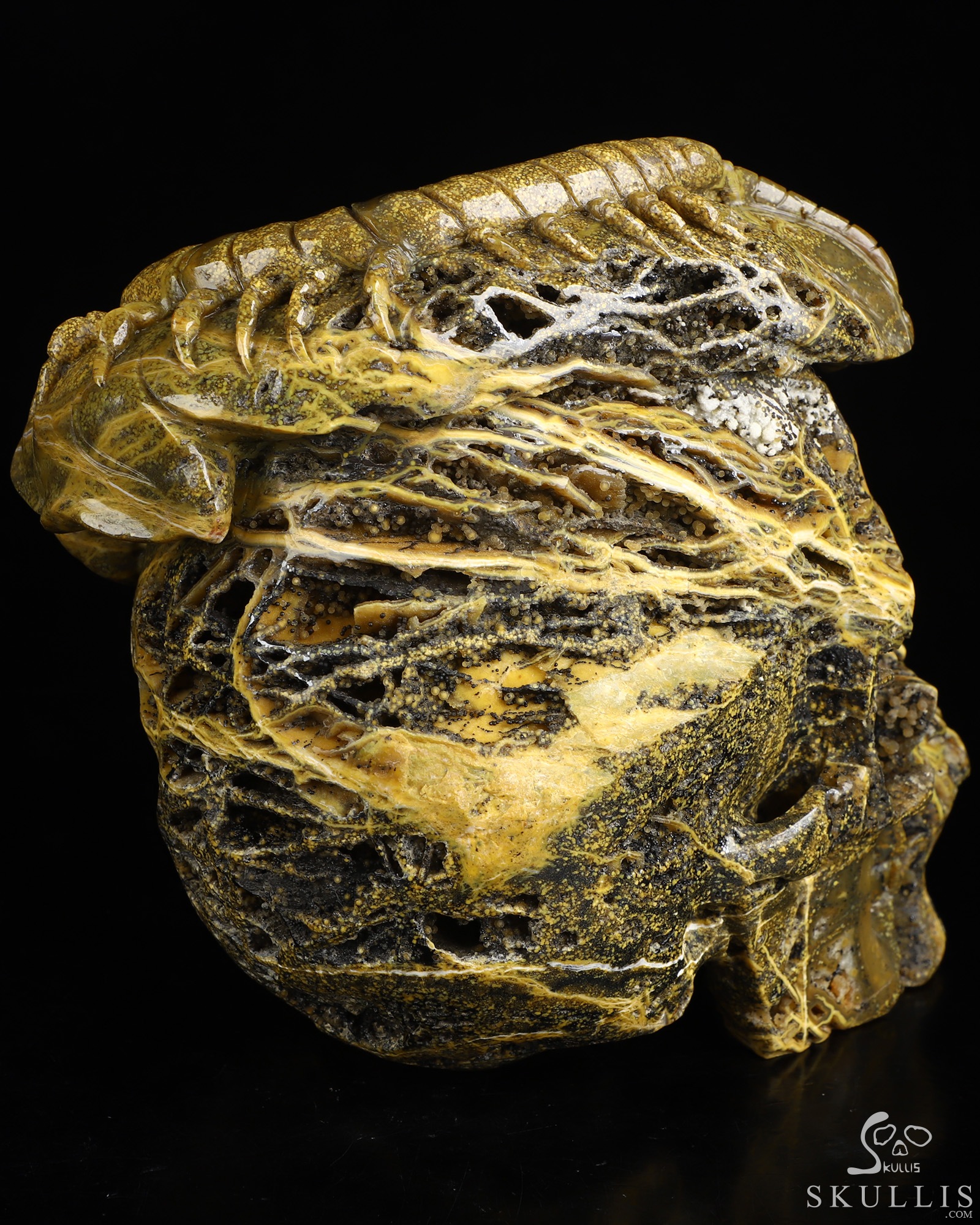 6.6" Ocean Jasper Hand Carved Crystal Skull Fine Art Sculpture, Crystal Healing 6.6" Ocean Jasper Hand Carved Crystal Skull Fine Art Sculpture, Crystal Healing