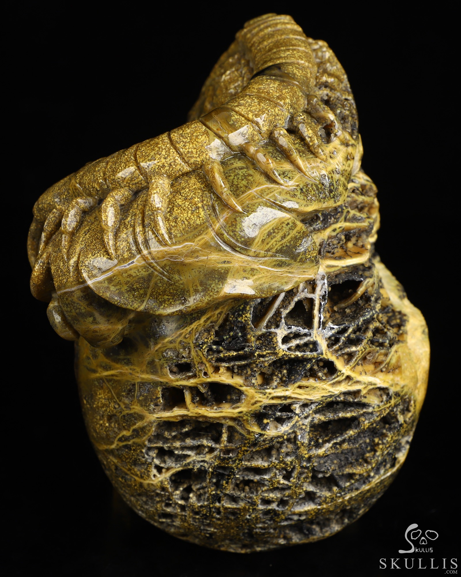 6.6" Ocean Jasper Hand Carved Crystal Skull Fine Art Sculpture, Crystal Healing 6.6" Ocean Jasper Hand Carved Crystal Skull Fine Art Sculpture, Crystal Healing
