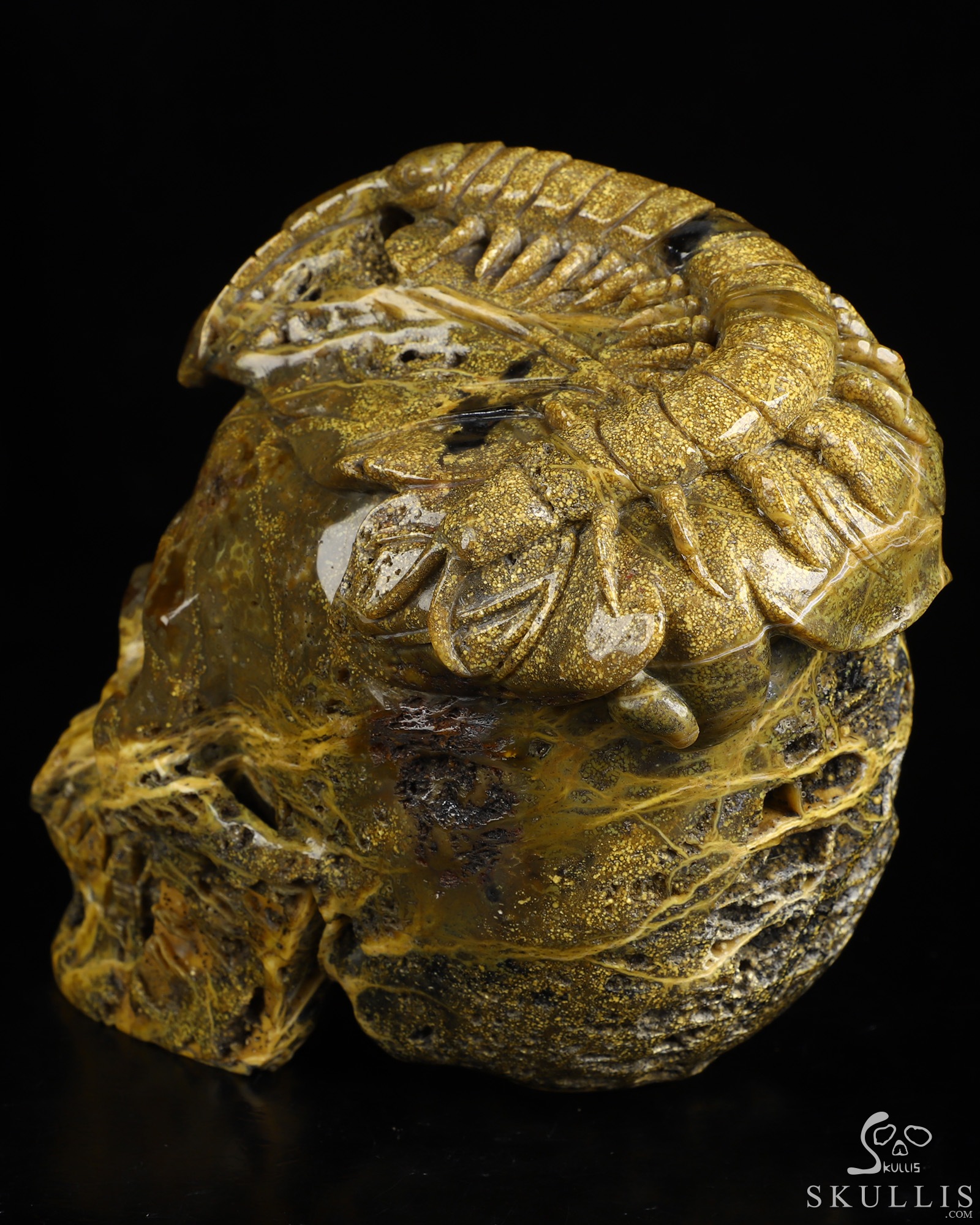 6.6" Ocean Jasper Hand Carved Crystal Skull Fine Art Sculpture, Crystal Healing 6.6" Ocean Jasper Hand Carved Crystal Skull Fine Art Sculpture, Crystal Healing
