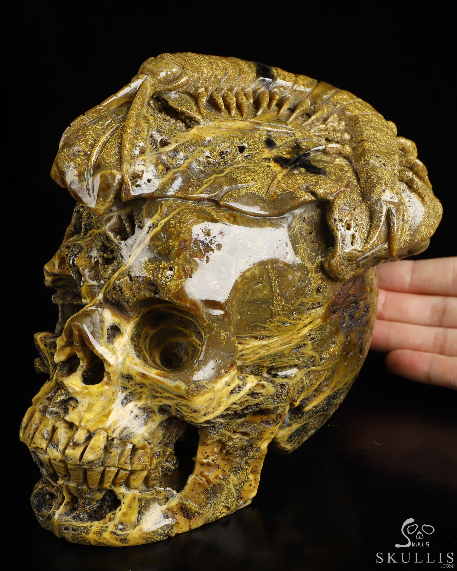 6.6" Ocean Jasper Hand Carved Crystal Skull Fine Art Sculpture, Crystal Healing 6.6" Ocean Jasper Hand Carved Crystal Skull Fine Art Sculpture, Crystal Healing
