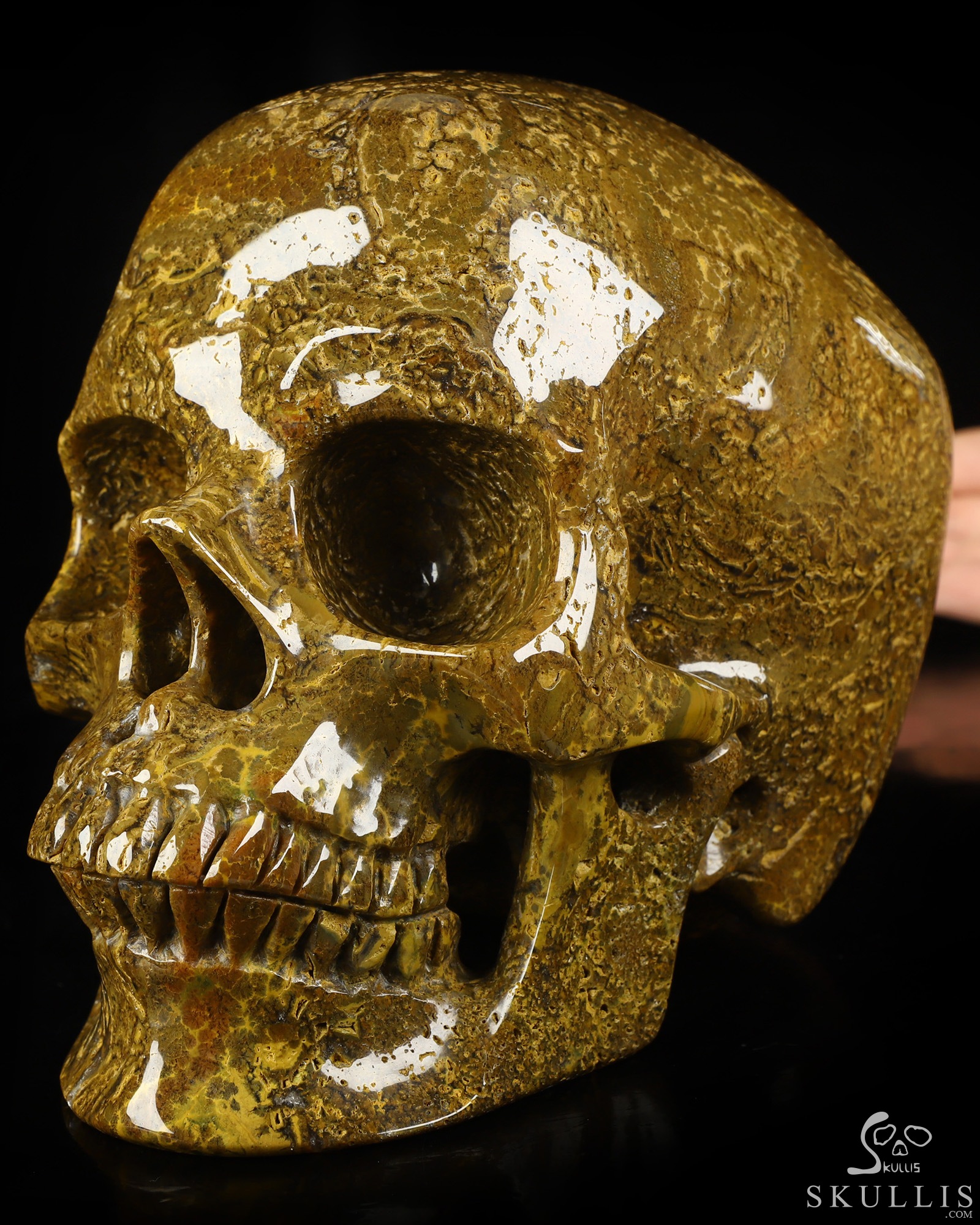 Lifesized 6.8" Ocean Jasper Hand Carved Crystal Skull, Super Realistic, Crystal Healing Lifesized 6.8" Ocean Jasper Hand Carved Crystal Skull, Super Realistic, Crystal Healing