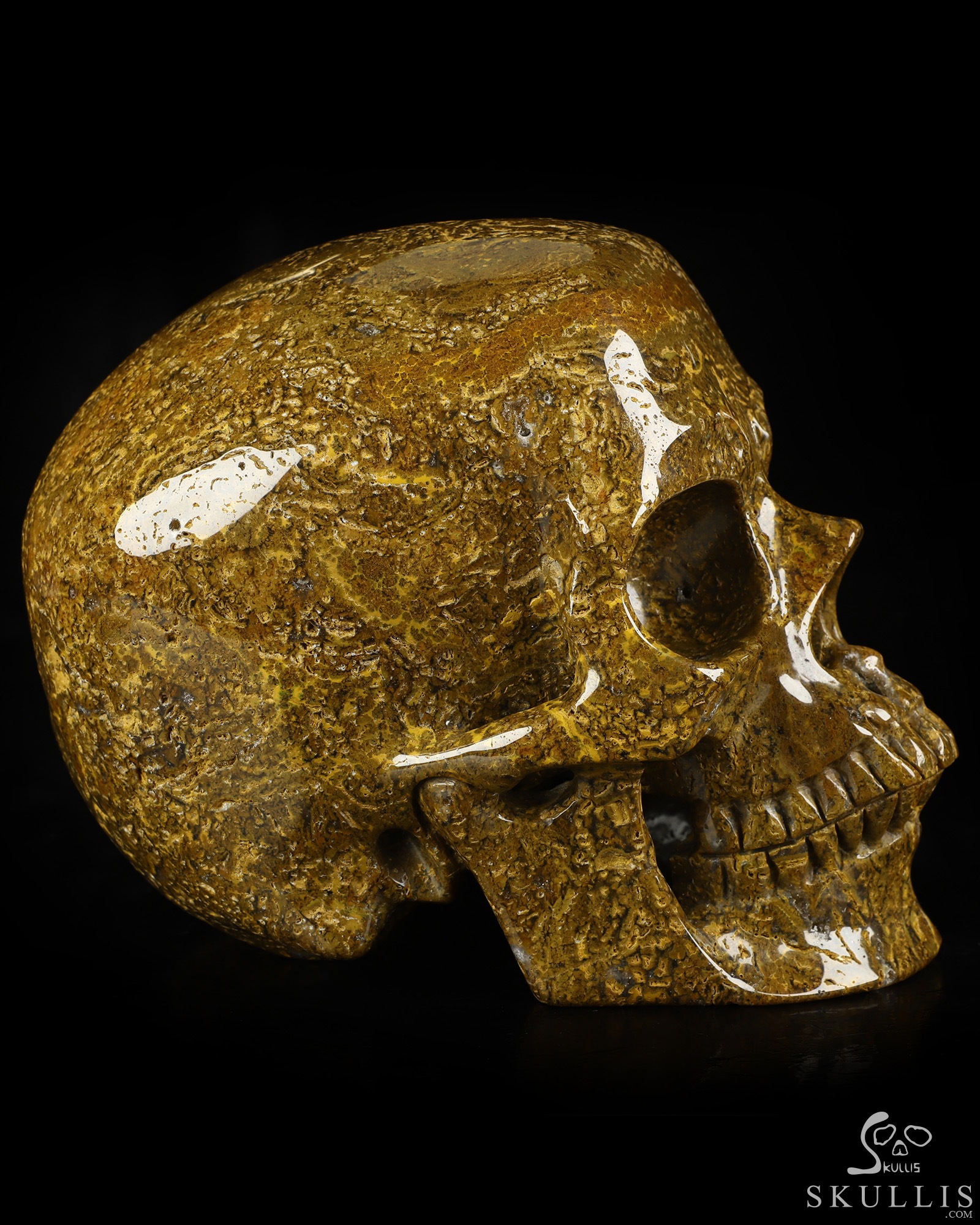 Lifesized 6.8" Ocean Jasper Hand Carved Crystal Skull, Super Realistic, Crystal Healing Lifesized 6.8" Ocean Jasper Hand Carved Crystal Skull, Super Realistic, Crystal Healing