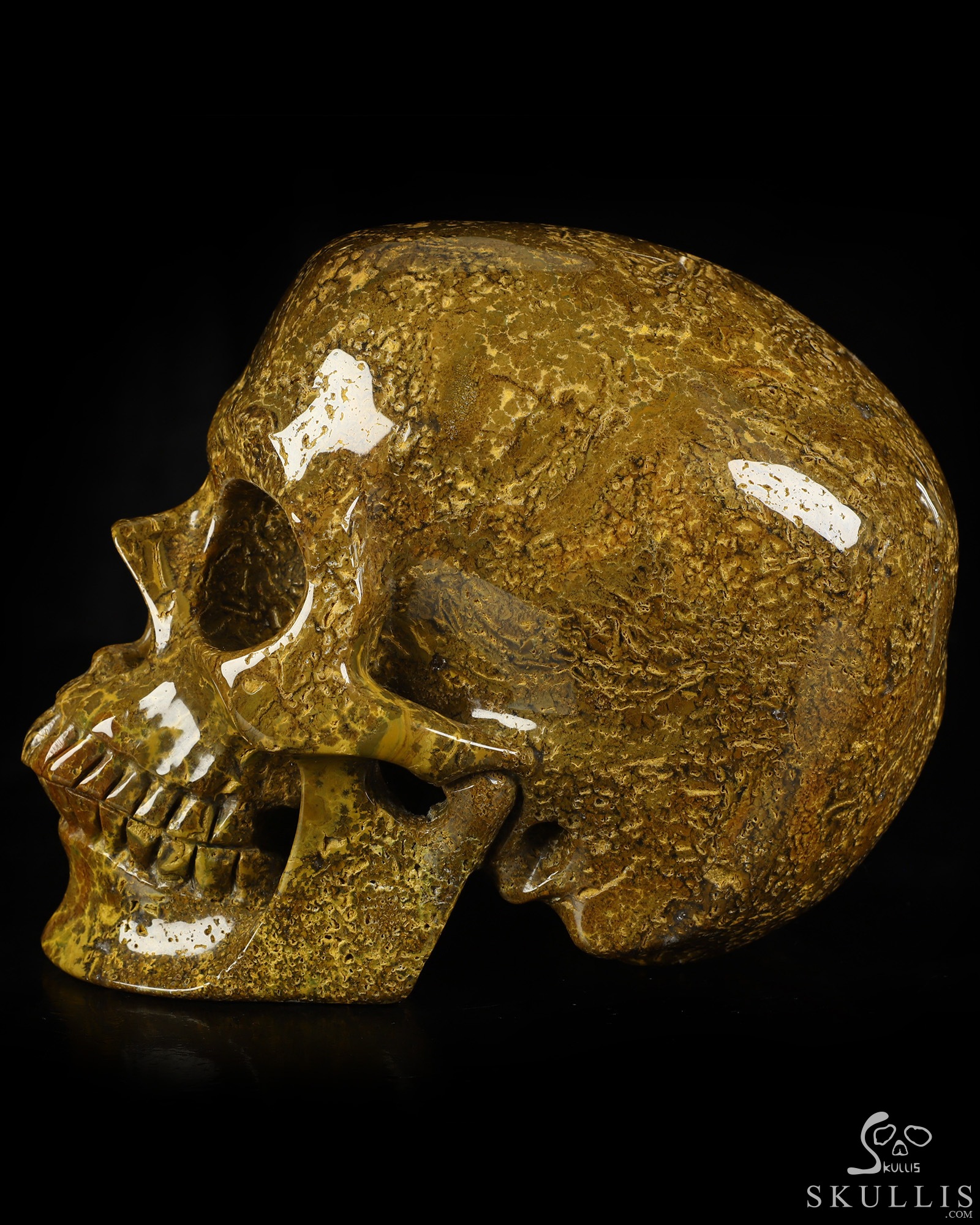 Lifesized 6.8" Ocean Jasper Hand Carved Crystal Skull, Super Realistic, Crystal Healing Lifesized 6.8" Ocean Jasper Hand Carved Crystal Skull, Super Realistic, Crystal Healing