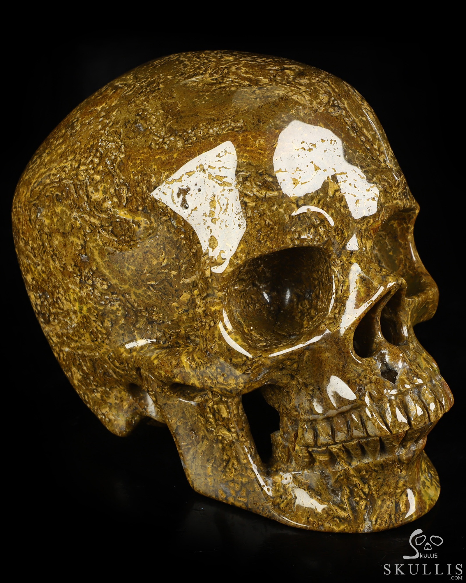 Lifesized 6.8" Ocean Jasper Hand Carved Crystal Skull, Super Realistic, Crystal Healing Lifesized 6.8" Ocean Jasper Hand Carved Crystal Skull, Super Realistic, Crystal Healing
