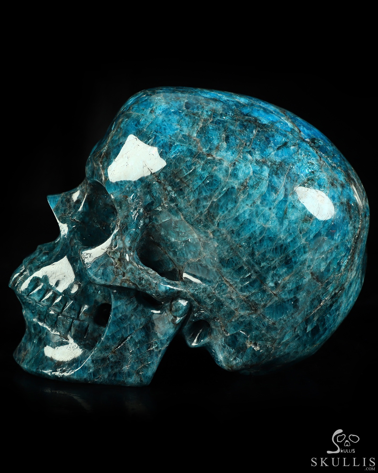 5.0" Blue Apatite Hand Carved Crystal Skull, Super Realistic, Crystal Healing 5.0" Blue Apatite Hand Carved Crystal Skull, Super Realistic, Crystal Healing