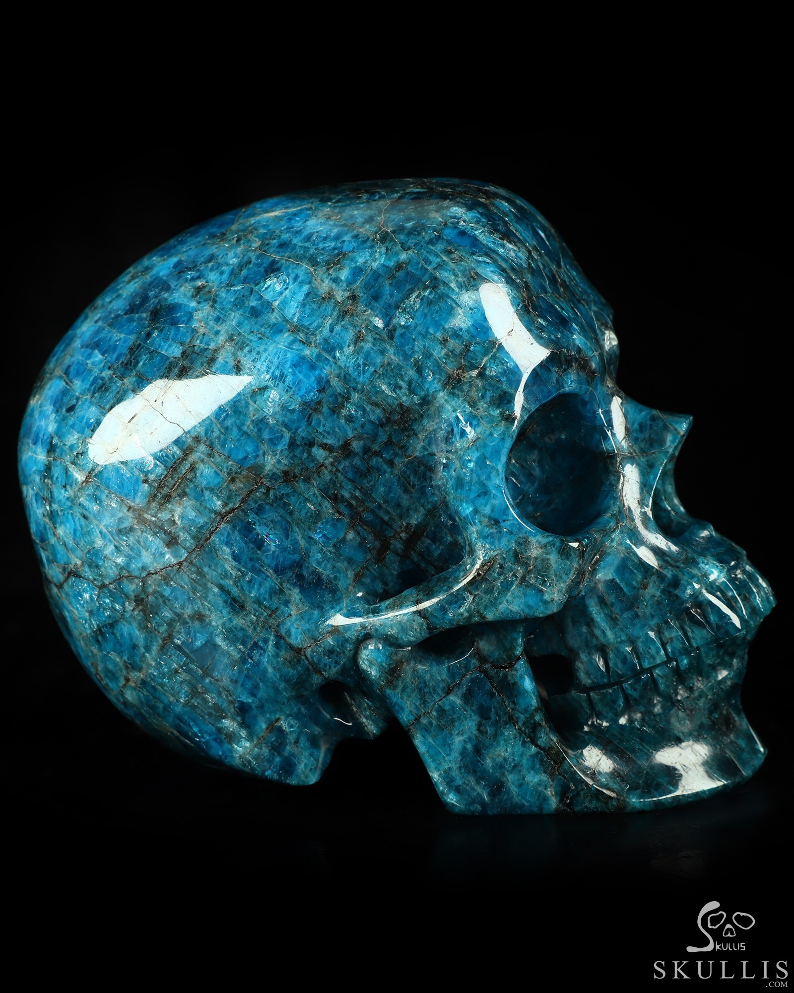 5.0" Blue Apatite Hand Carved Crystal Skull, Super Realistic, Crystal Healing 5.0" Blue Apatite Hand Carved Crystal Skull, Super Realistic, Crystal Healing