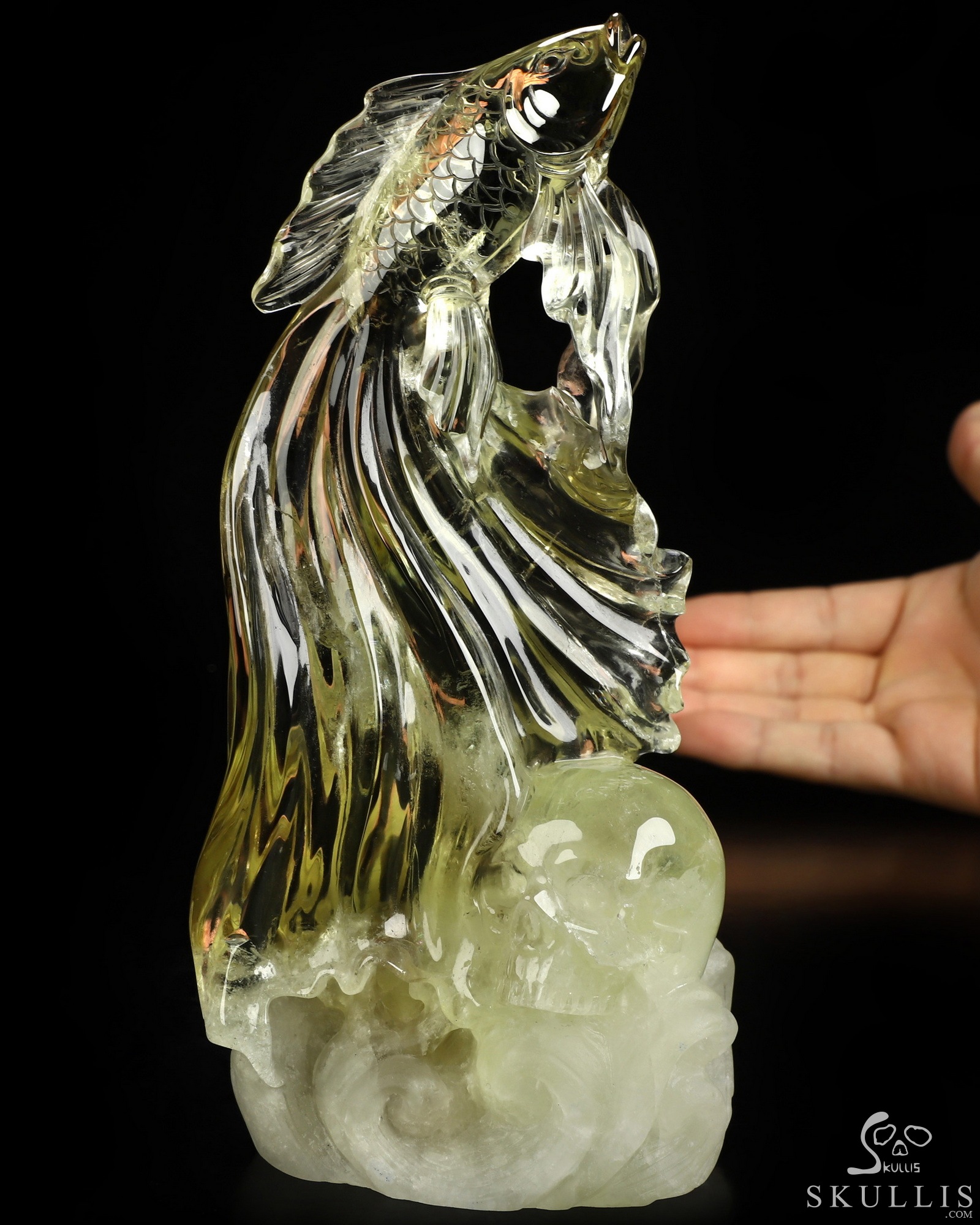 Aug 31, 2026 ACSAD (A Crystal Skull a Day) - Nothing Truly Sinks - Gemstone 7.0" Citrine Hand Carved Fish & Crystal Skull Fine Art Sculpture, Crystal Healing Aug 31, 2026 ACSAD (A Crystal Skull a Day) - Nothing Truly Sinks - Gemstone 7.0" Citrine Hand Carved Fish & Crystal Skull Fine Art Sculpture, Crystal Healing