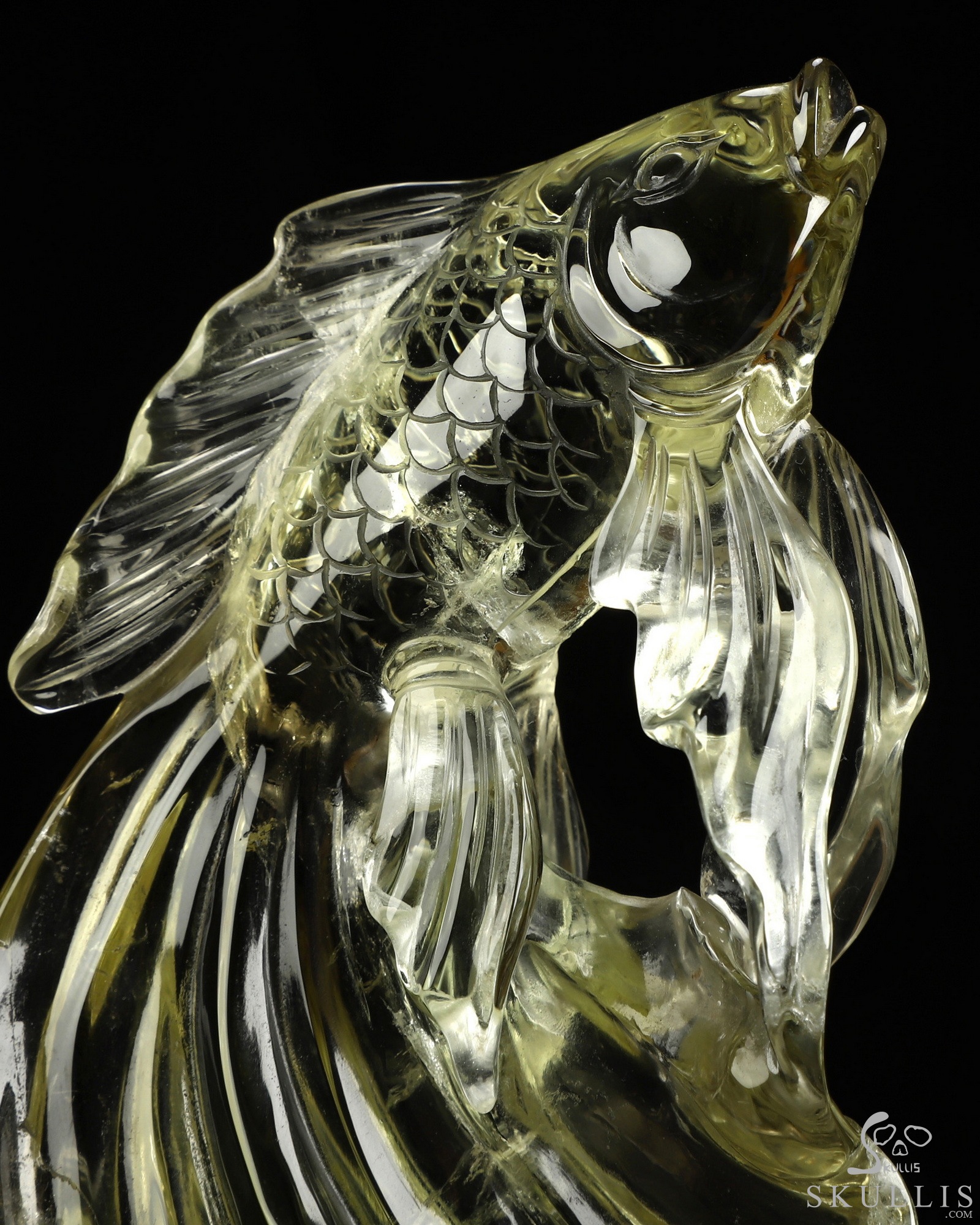 Aug 31, 2026 ACSAD (A Crystal Skull a Day) - Nothing Truly Sinks - Gemstone 7.0" Citrine Hand Carved Fish & Crystal Skull Fine Art Sculpture, Crystal Healing Aug 31, 2026 ACSAD (A Crystal Skull a Day) - Nothing Truly Sinks - Gemstone 7.0" Citrine Hand Carved Fish & Crystal Skull Fine Art Sculpture, Crystal Healing