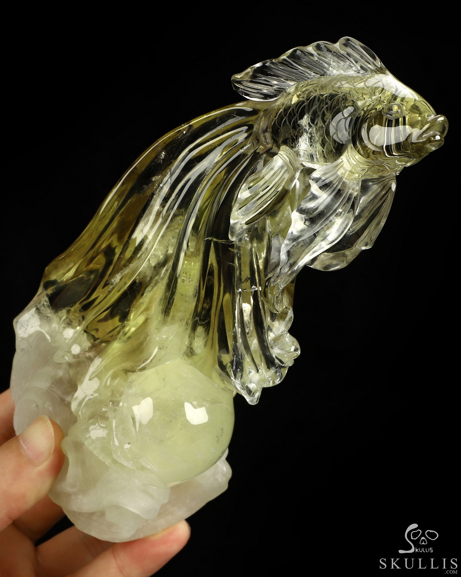 Aug 31, 2026 ACSAD (A Crystal Skull a Day) - Nothing Truly Sinks - Gemstone 7.0" Citrine Hand Carved Fish & Crystal Skull Fine Art Sculpture, Crystal Healing Aug 31, 2026 ACSAD (A Crystal Skull a Day) - Nothing Truly Sinks - Gemstone 7.0" Citrine Hand Carved Fish & Crystal Skull Fine Art Sculpture, Crystal Healing