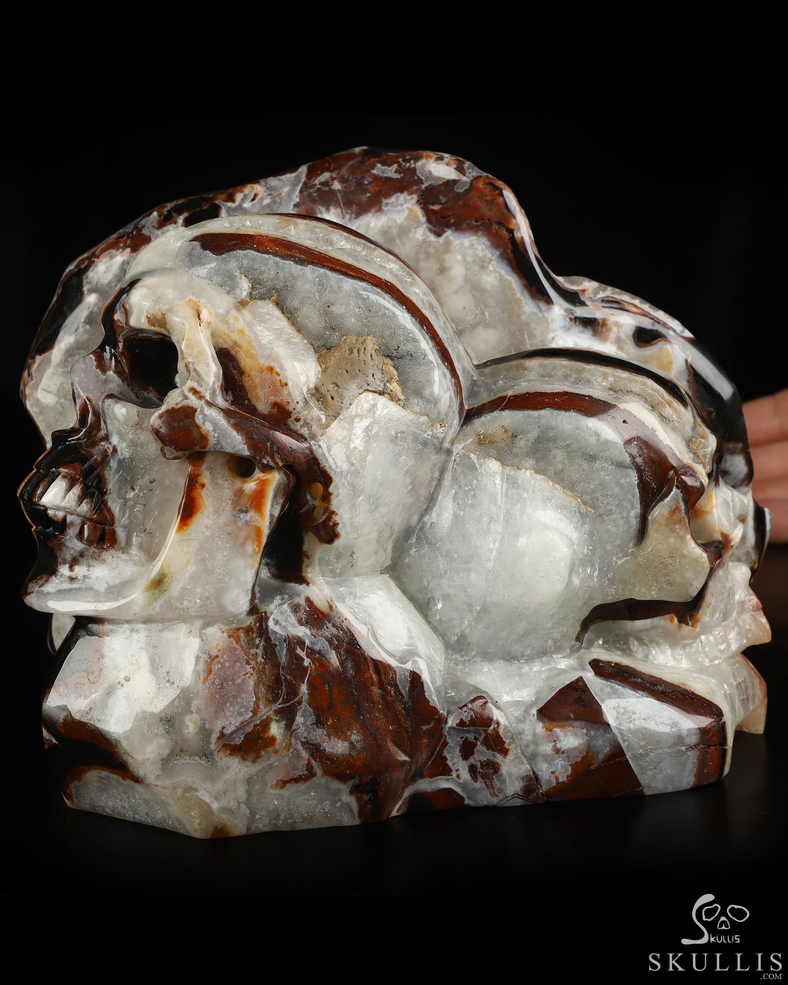 7.5" Black Zebra Agate Hand Carved Crystal Skull Fine Art Sculpture, Crystal Healing 7.5" Black Zebra Agate Hand Carved Crystal Skull Fine Art Sculpture, Crystal Healing
