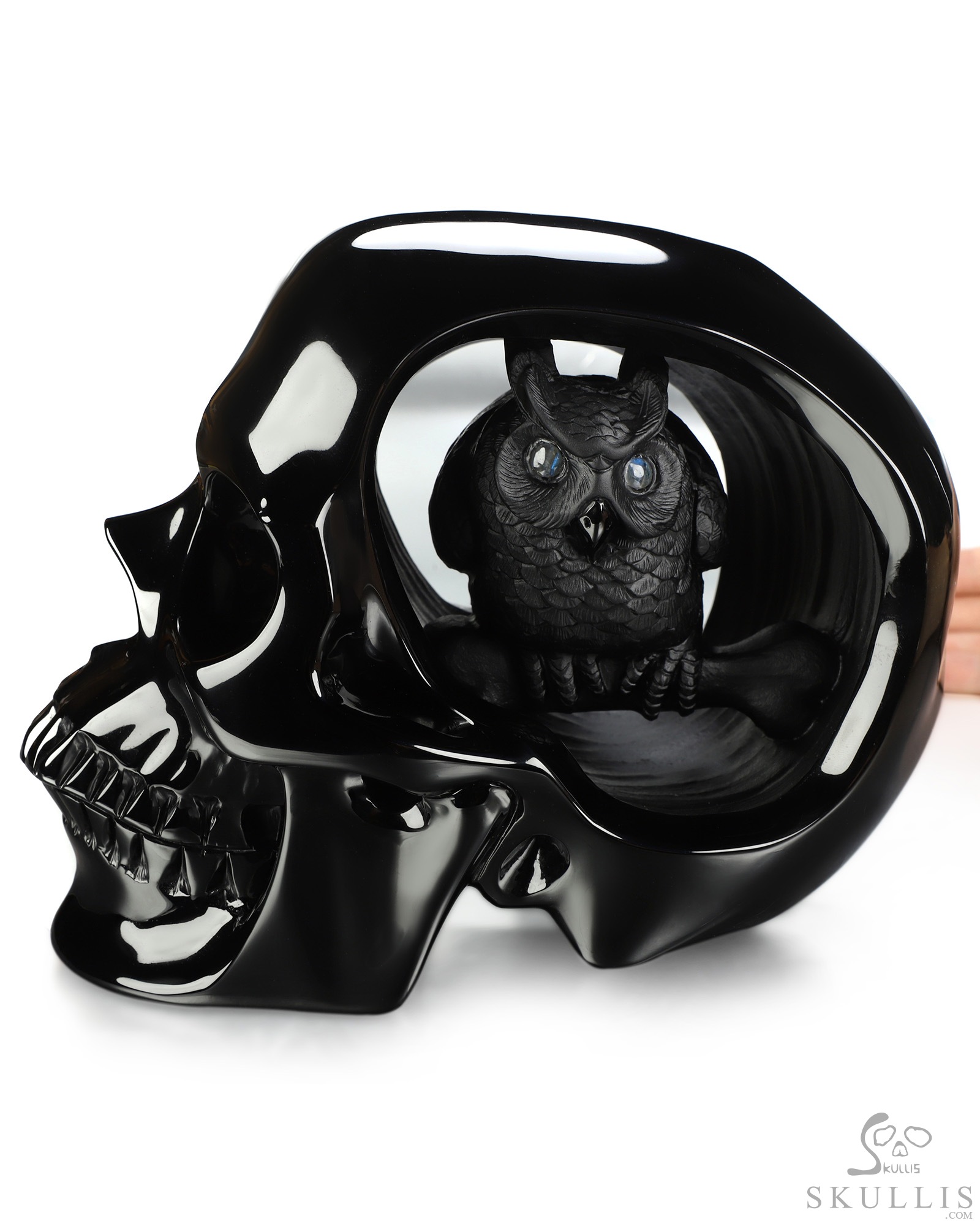 Sept 23, 2026 ACSAD (A Crystal Skull a Day) - The Dark Has Eyes - 8.0" Black Obsidian Hand Carved Crystal Skull and Owl Sculpture with Labradorite Eyes, Crystal Healing Sept 23, 2026 ACSAD (A Crystal Skull a Day) - The Dark Has Eyes - 8.0" Black Obsidian Hand Carved Crystal Skull and Owl Sculpture with Labradorite Eyes, Crystal Healing
