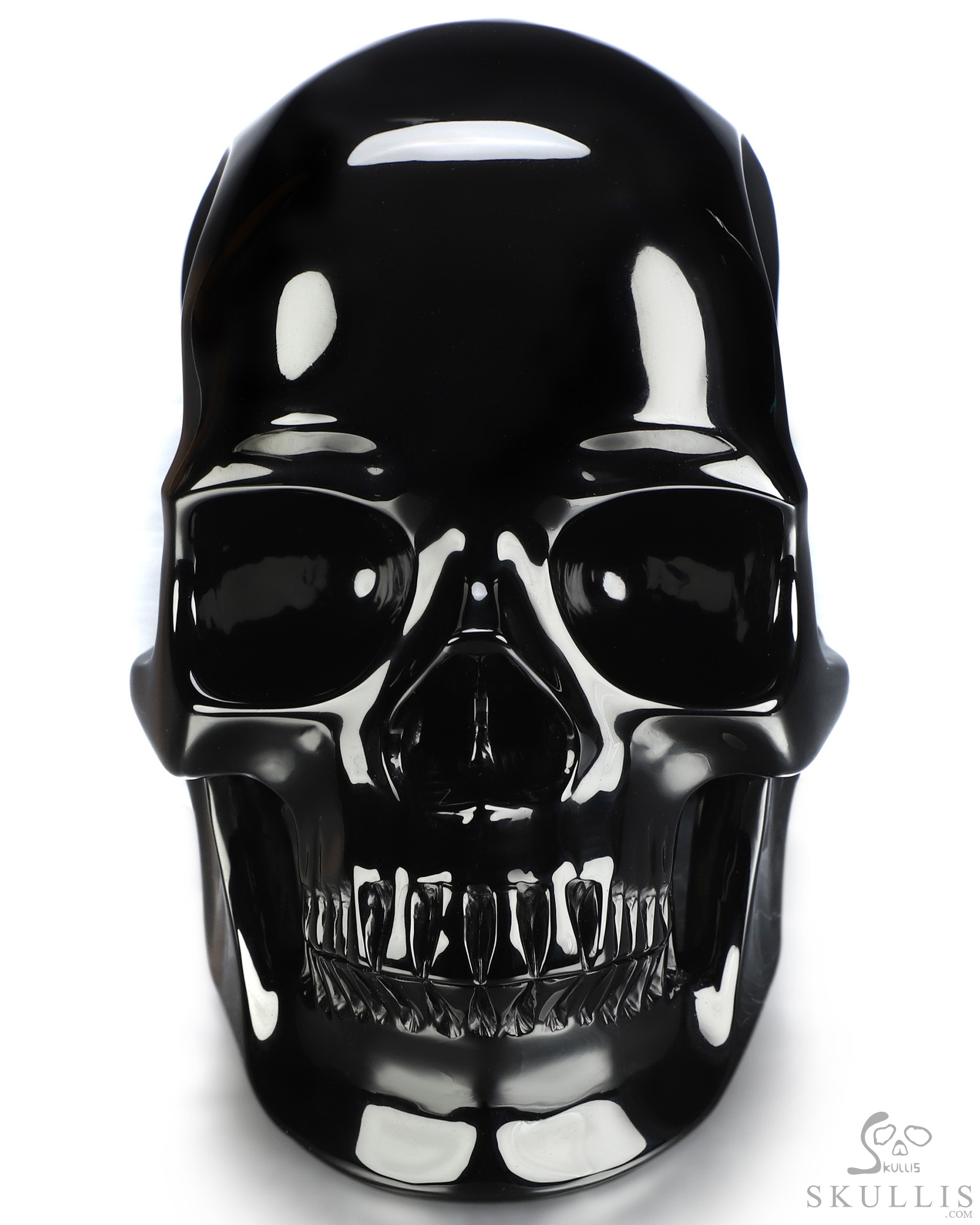 Sept 23, 2026 ACSAD (A Crystal Skull a Day) - The Dark Has Eyes - 8.0" Black Obsidian Hand Carved Crystal Skull and Owl Sculpture with Labradorite Eyes, Crystal Healing Sept 23, 2026 ACSAD (A Crystal Skull a Day) - The Dark Has Eyes - 8.0" Black Obsidian Hand Carved Crystal Skull and Owl Sculpture with Labradorite Eyes, Crystal Healing