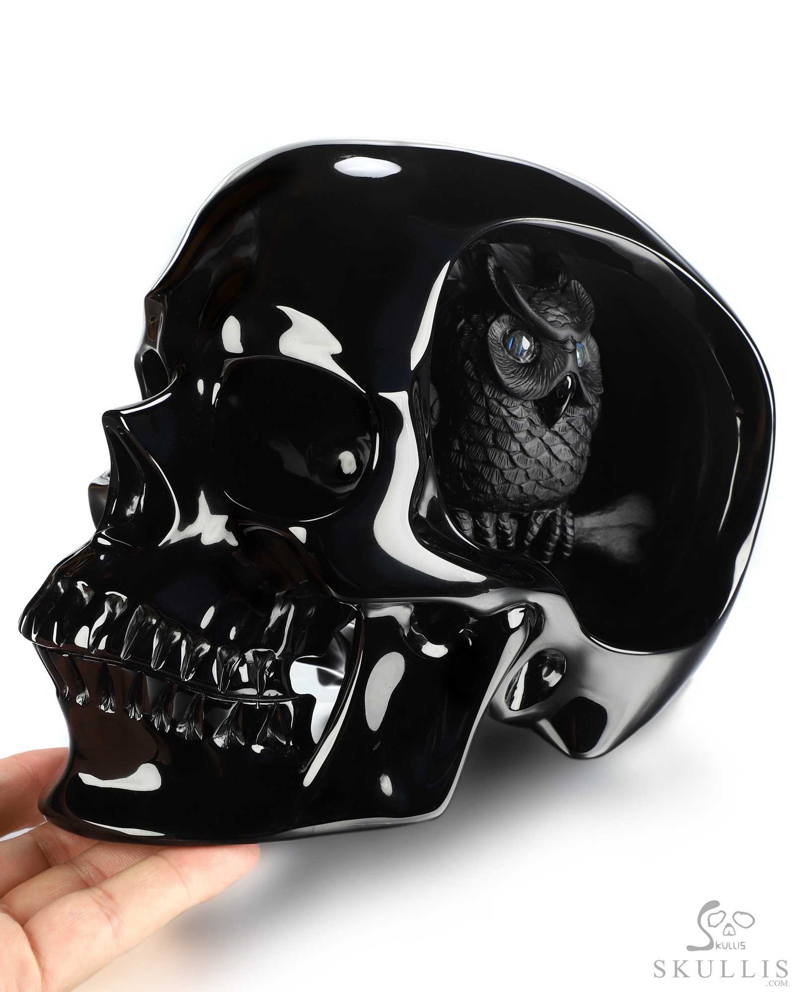 Sept 23, 2026 ACSAD (A Crystal Skull a Day) - The Dark Has Eyes - 8.0" Black Obsidian Hand Carved Crystal Skull and Owl Sculpture with Labradorite Eyes, Crystal Healing Sept 23, 2026 ACSAD (A Crystal Skull a Day) - The Dark Has Eyes - 8.0" Black Obsidian Hand Carved Crystal Skull and Owl Sculpture with Labradorite Eyes, Crystal Healing